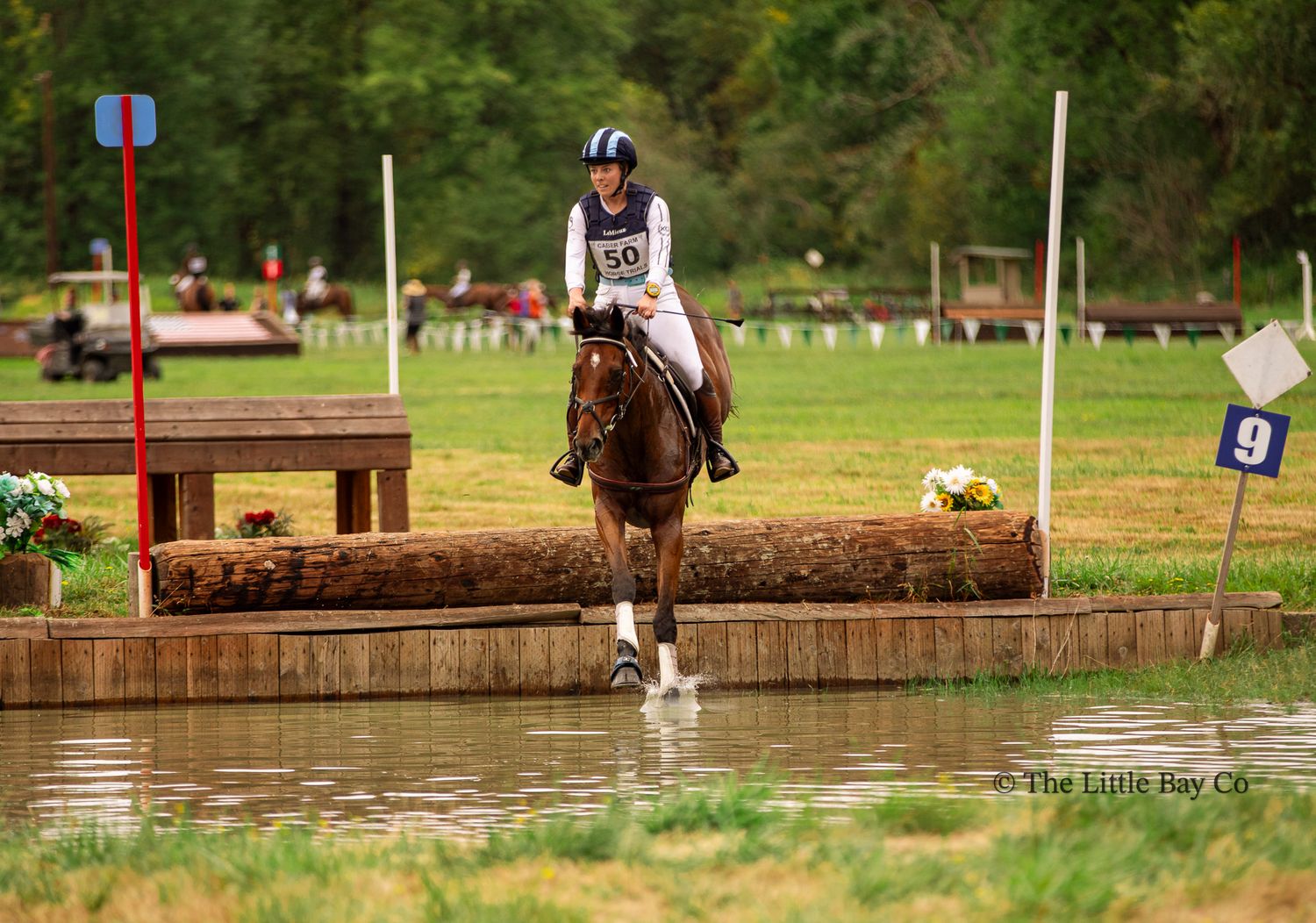 Equestrian rider on chestnut horse navigating water obstacle at cross-country eventing competition near fence marker 9.