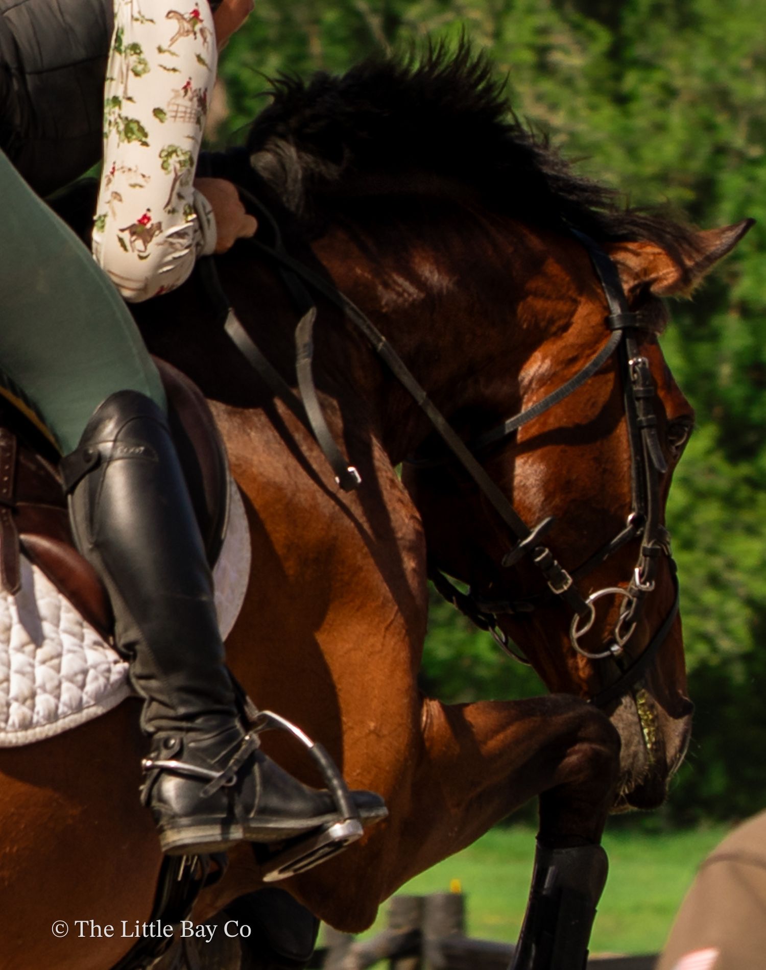 A rider in tall black boots and floral breeches on a bay horse wearing a bridle during an equestrian jumping event.