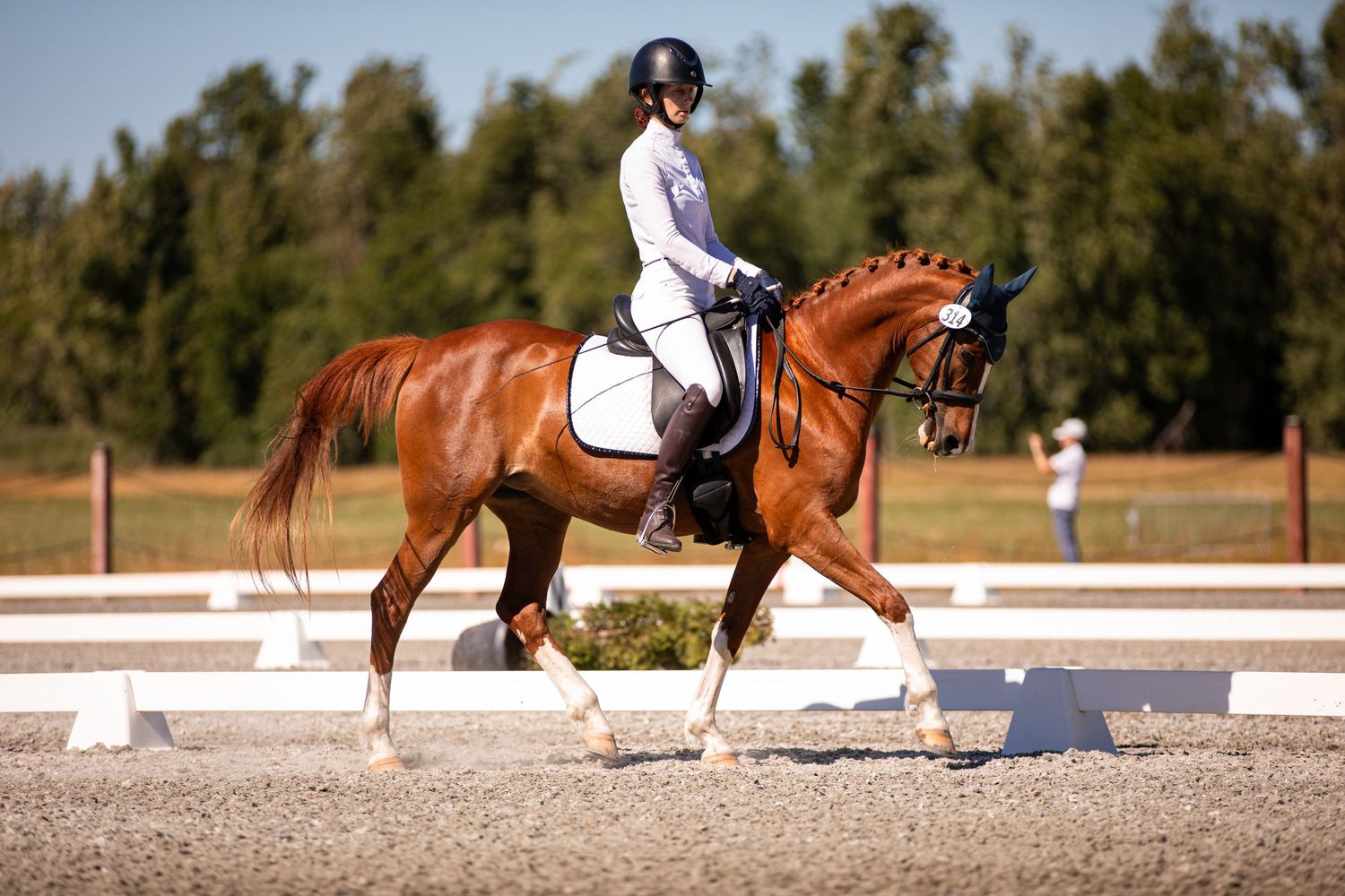 A rider and her chestnut horse compete in a dressage test.