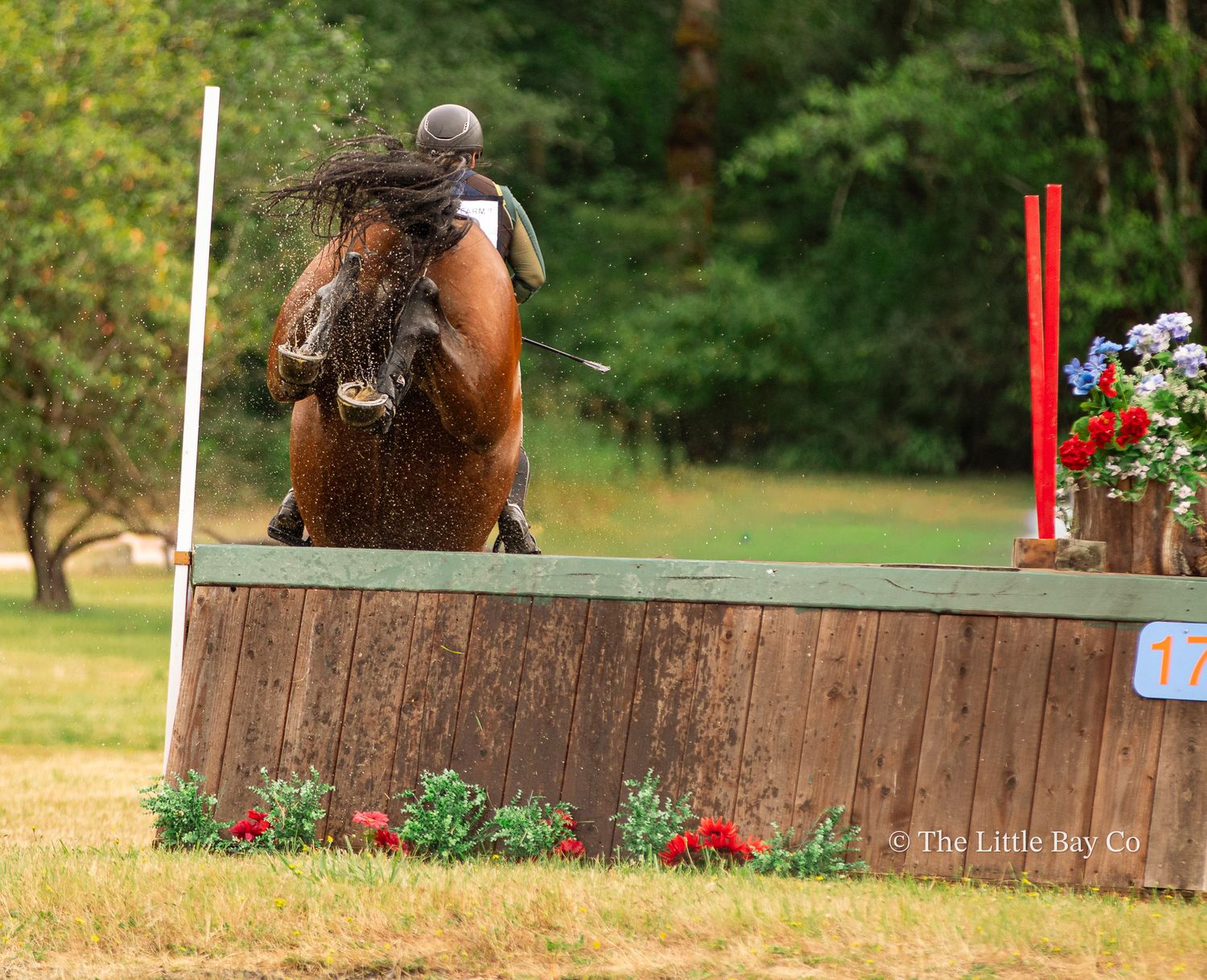 Equestrian rider on bay horse jumping over wooden fence obstacle in cross-country competition outdoors.
