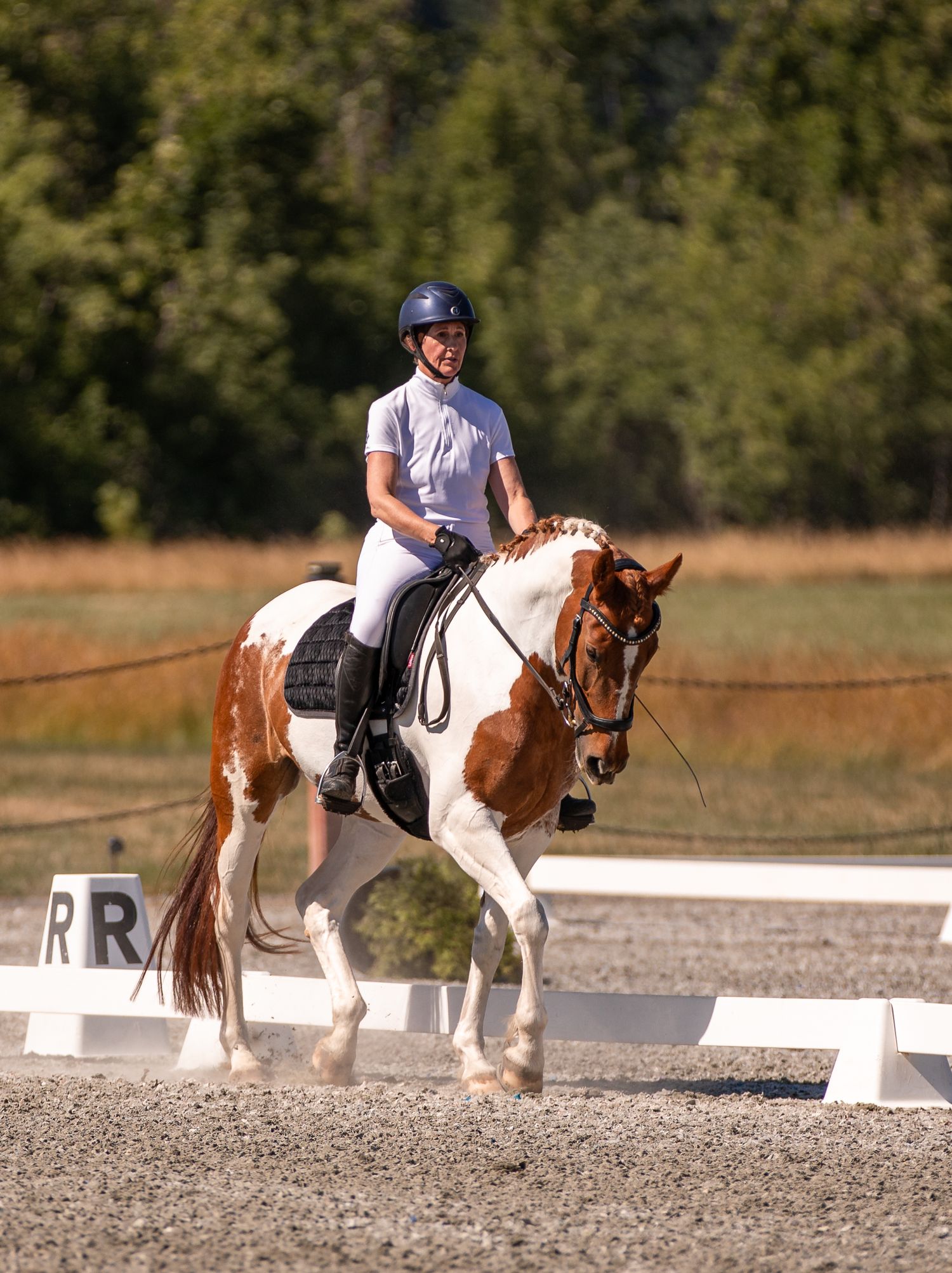 Smiling rider in white shirt on a brown and white paint horse during a dressage competition.