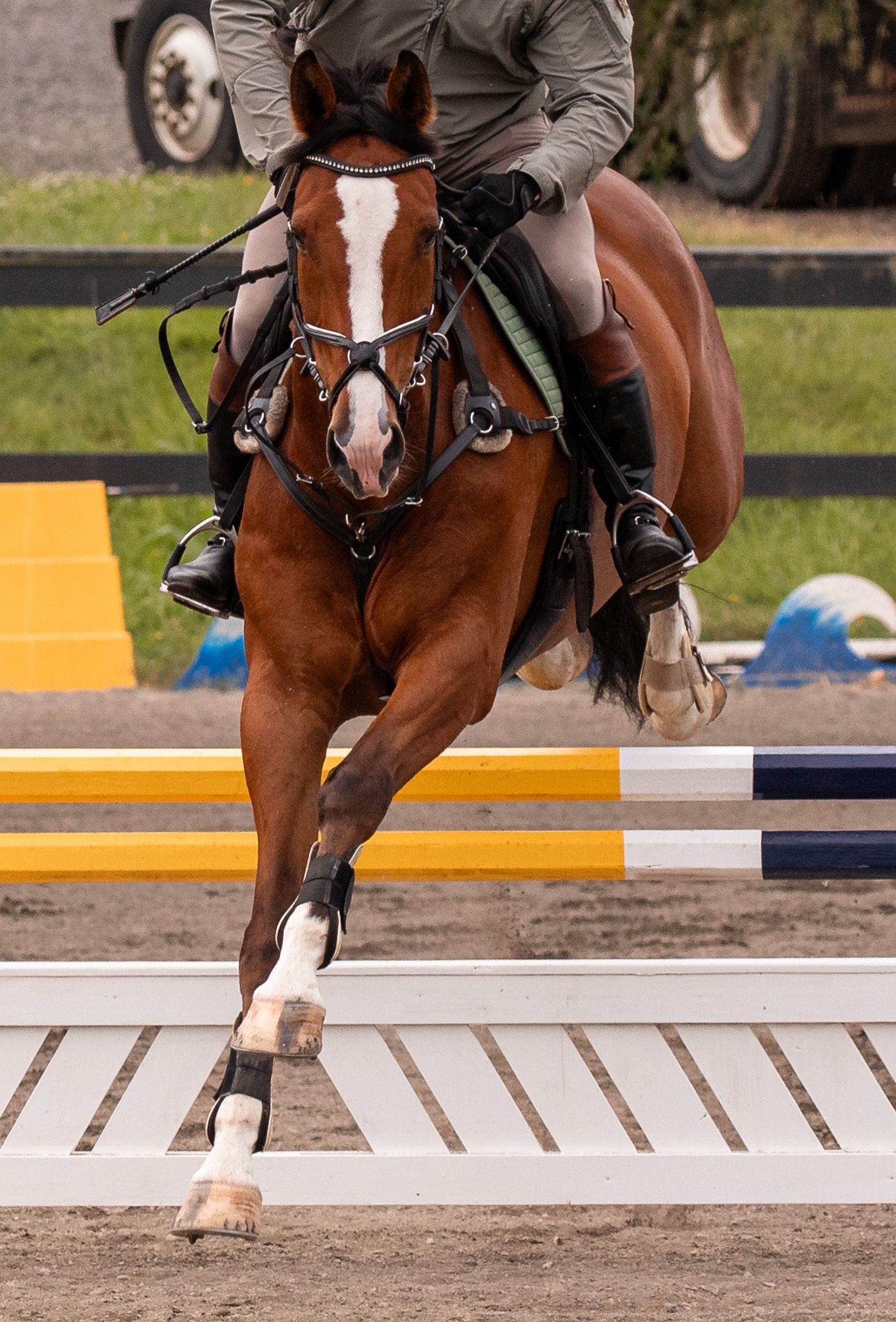 Bay horse and rider jumping over a white rail obstacle in an equestrian show jumping competition.