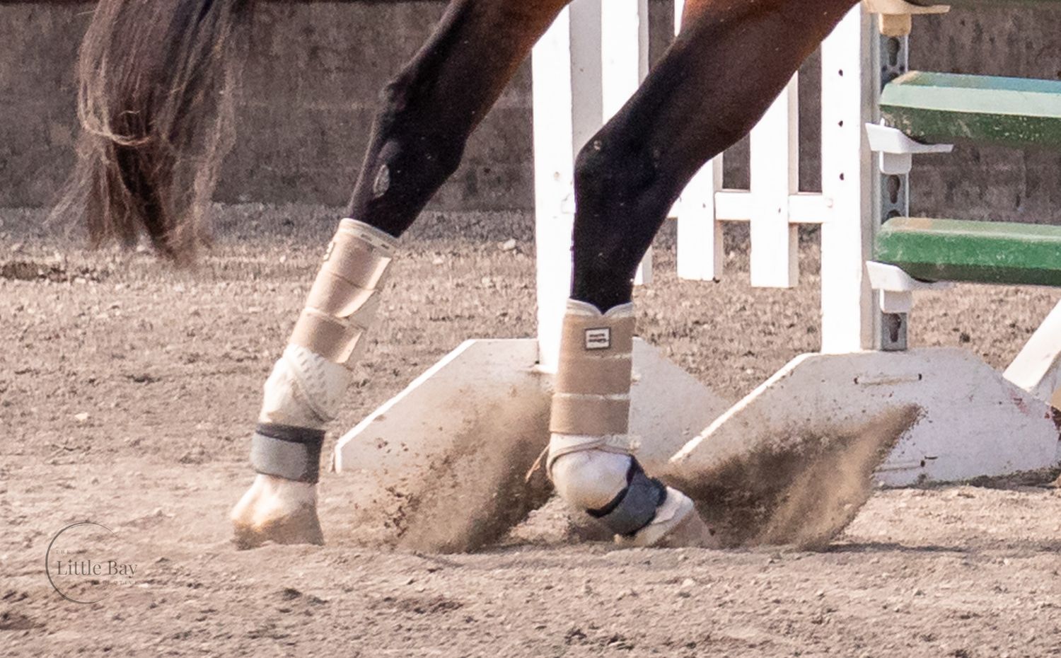 Close-up of a gray horse's hooves and legs wearing beige boots near a white jump rail.