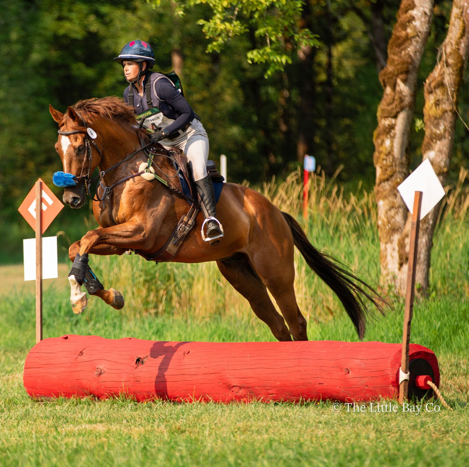 Bay horse and rider jumping a red log obstacle during a cross-country equestrian event on a lush green course.