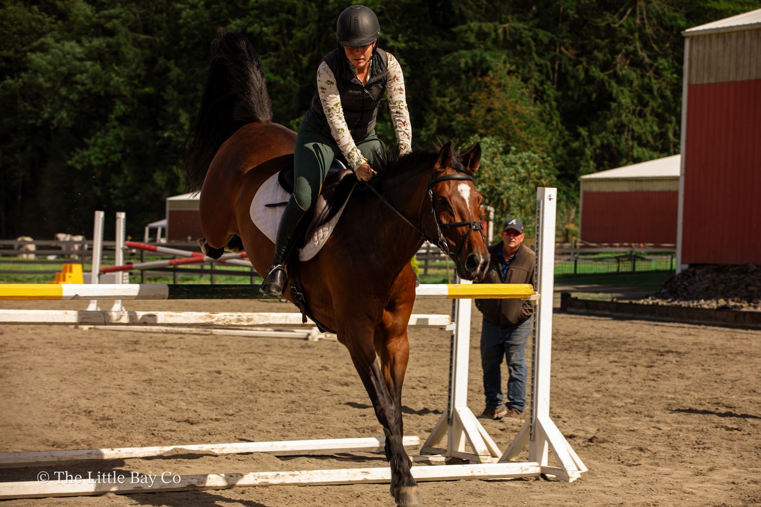 Equestrian rider on bay horse jumping over fence in outdoor arena with red barn in background.