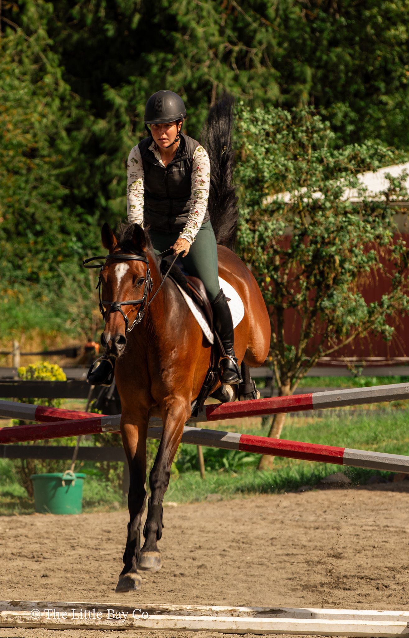 Equestrian rider in black helmet and vest riding a bay horse over a jump in an outdoor arena.
