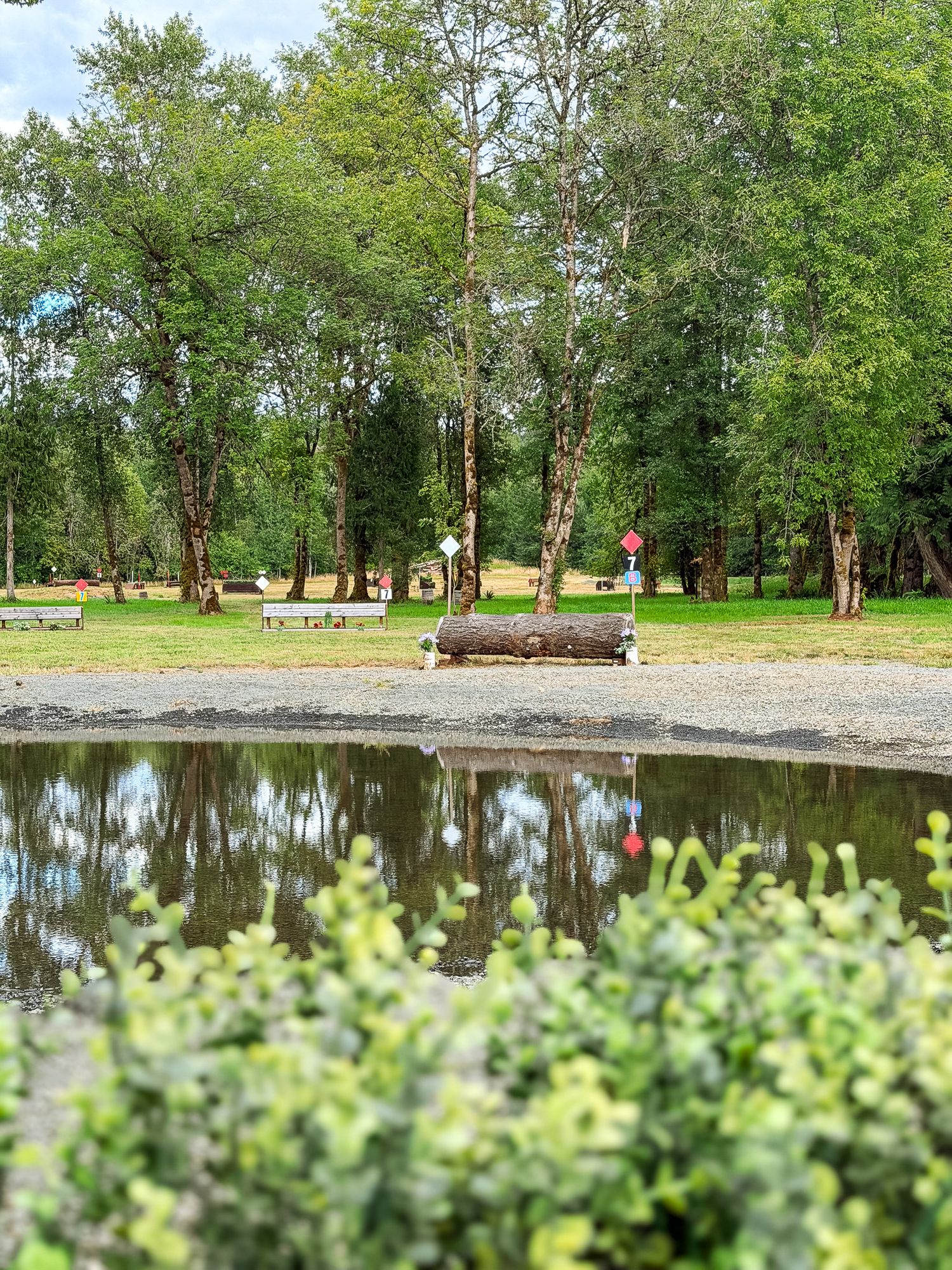 Serene park pond reflecting lush green trees with a log bench and red sign visible on the gravel path beyond.