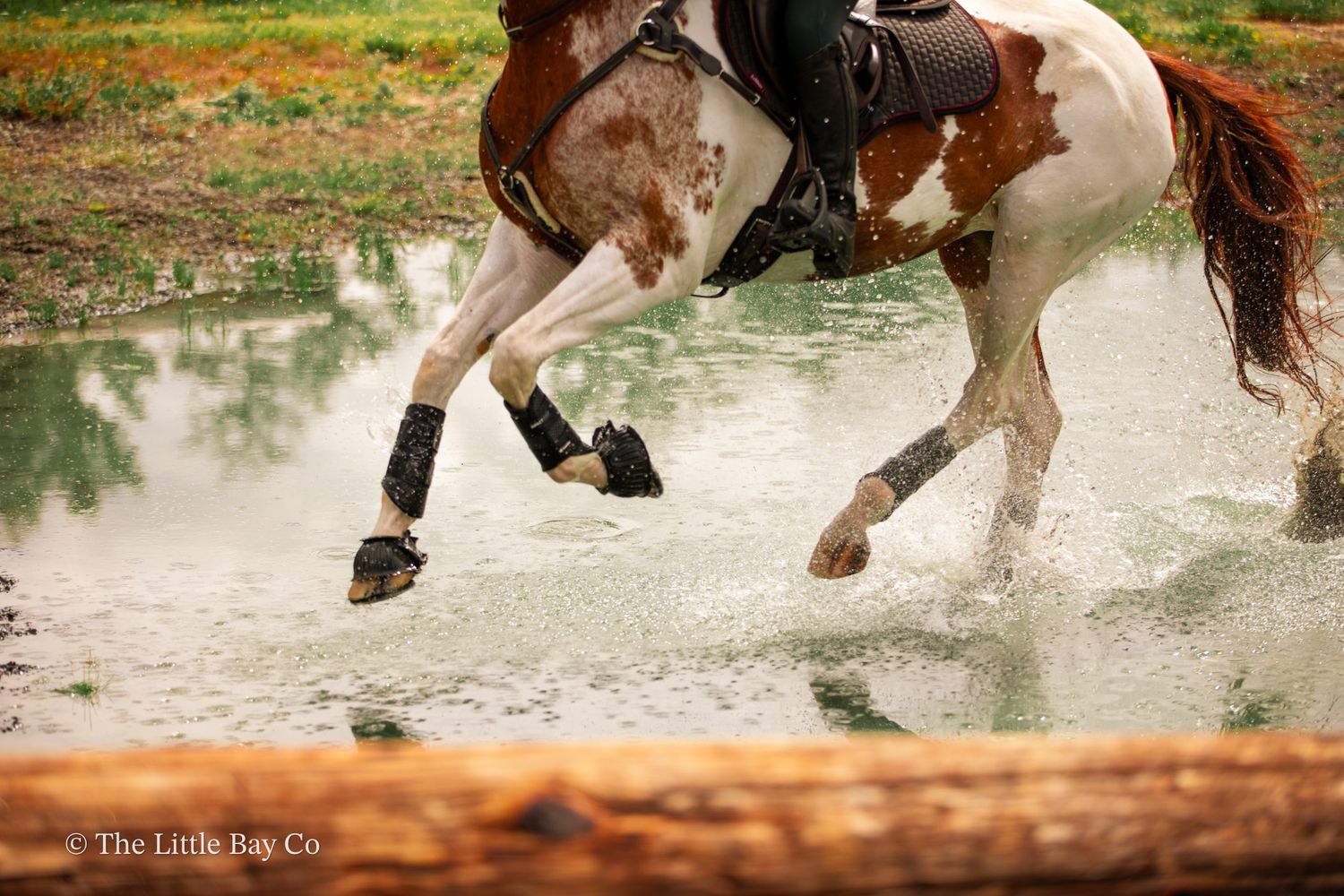 Brown and white paint horse splashing through water with rider, wearing black leg wraps, captured mid-stride.