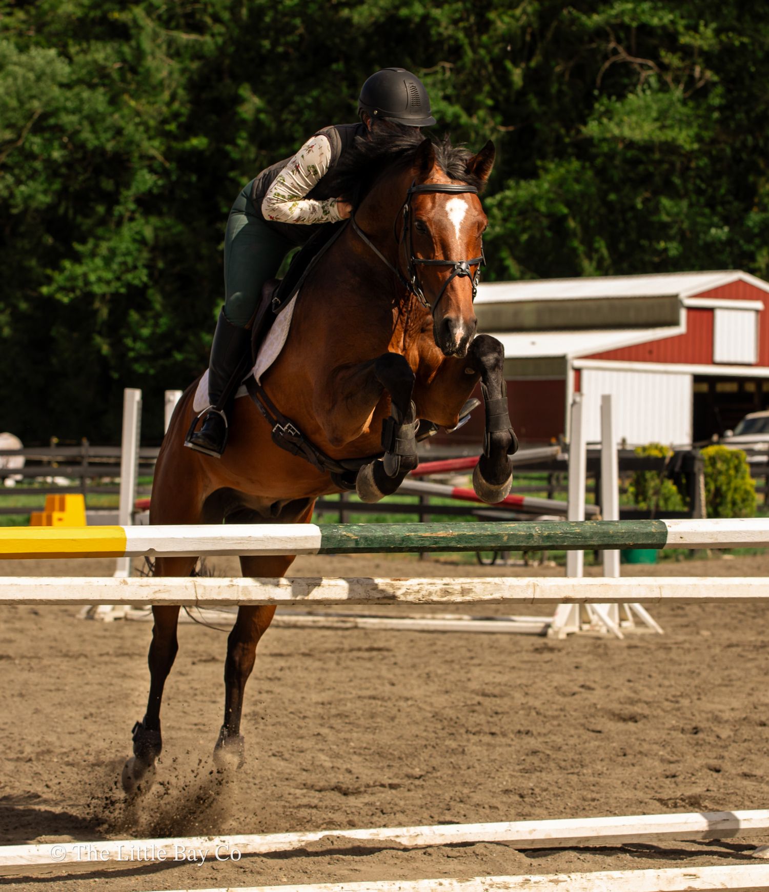 A rider on a bay horse jumping over a white fence rail at an equestrian show jumping competition outdoors.