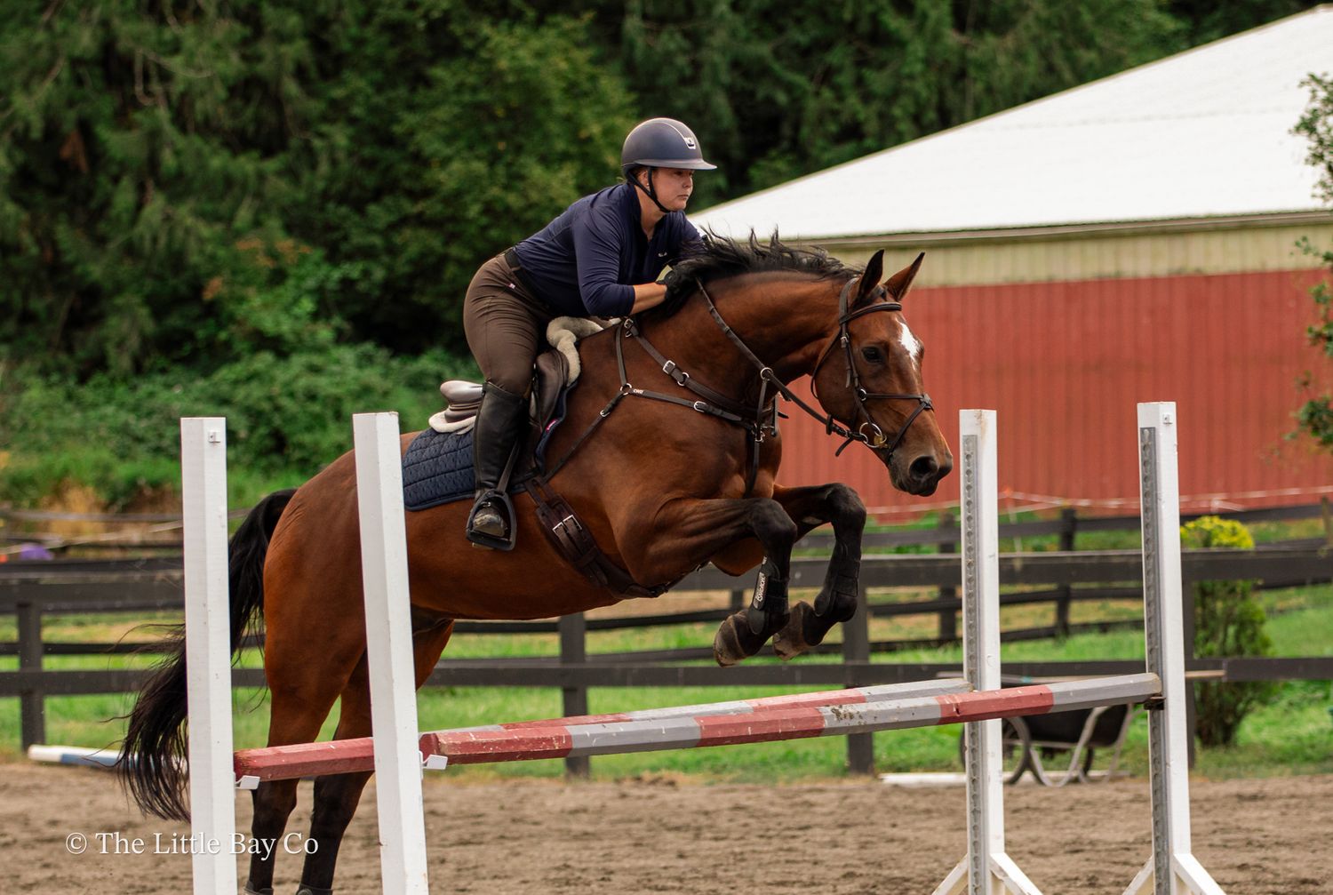 Equestrian rider on chestnut horse jumping over colorful poles at an outdoor show jumping arena.