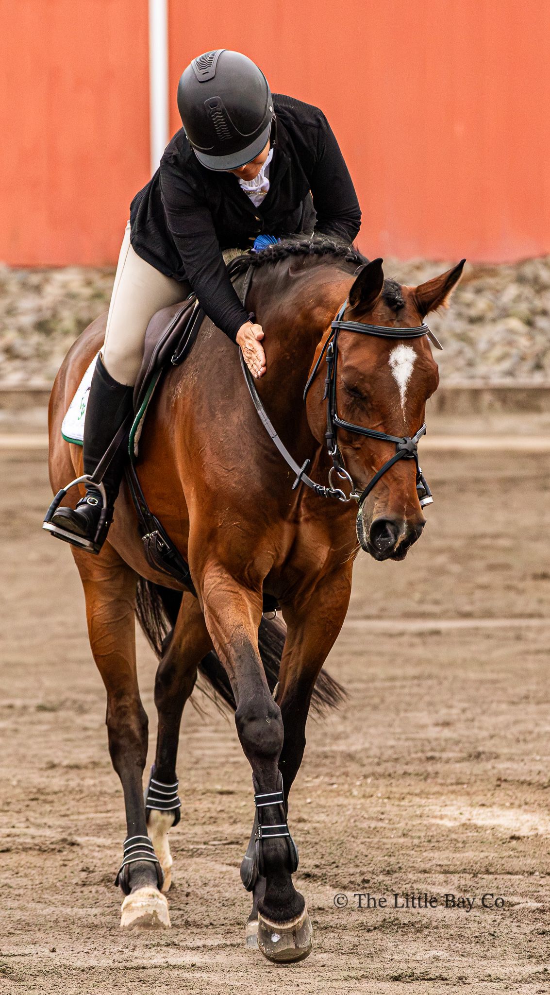 Horseback rider in black helmet and jacket on a bay horse trotting in a sandy arena during a horse show.