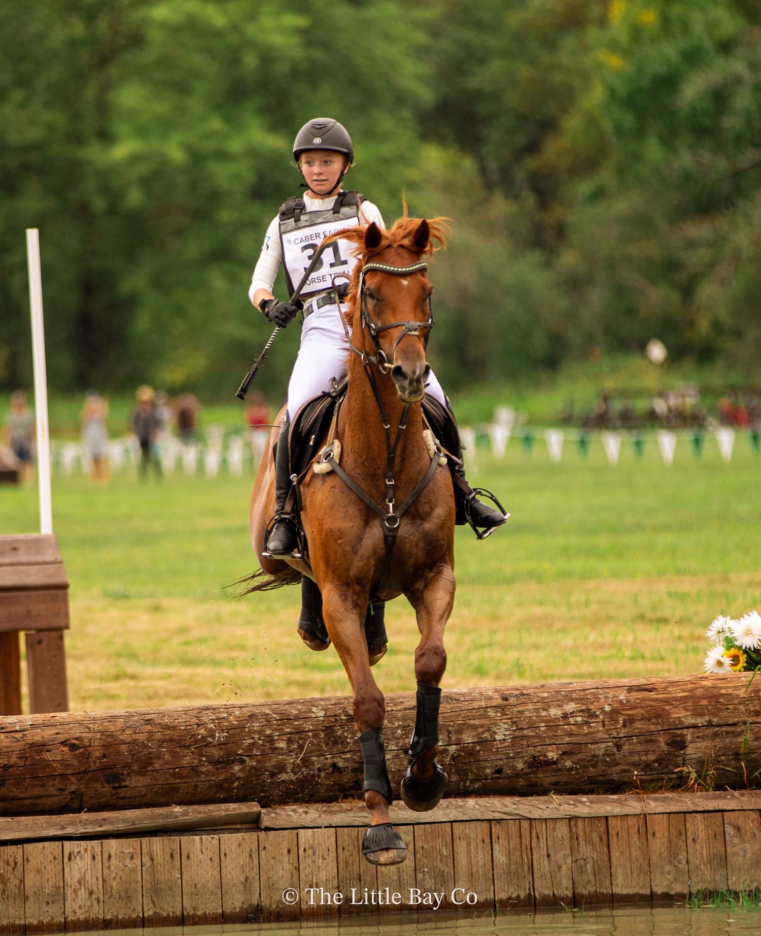 Equestrian rider number 31 on chestnut horse jumping log obstacle at cross-country eventing competition.