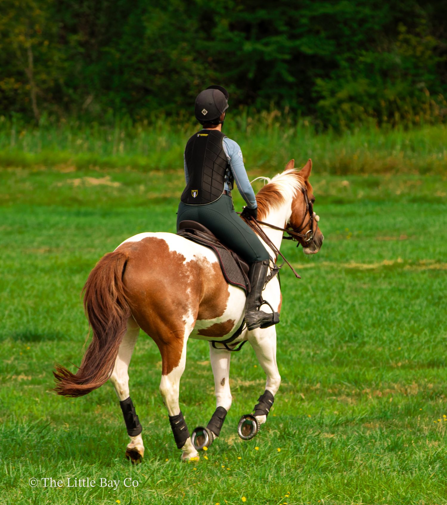 A rider in black equestrian attire on a chestnut and white paint horse trotting across a lush green field.
