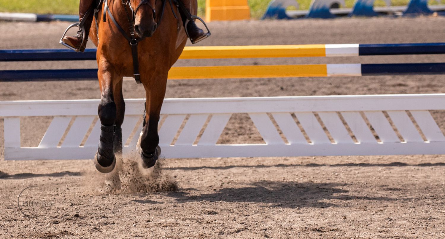 Bay horse jumping over a colorful show jumping fence on a sandy arena during an equestrian competition.