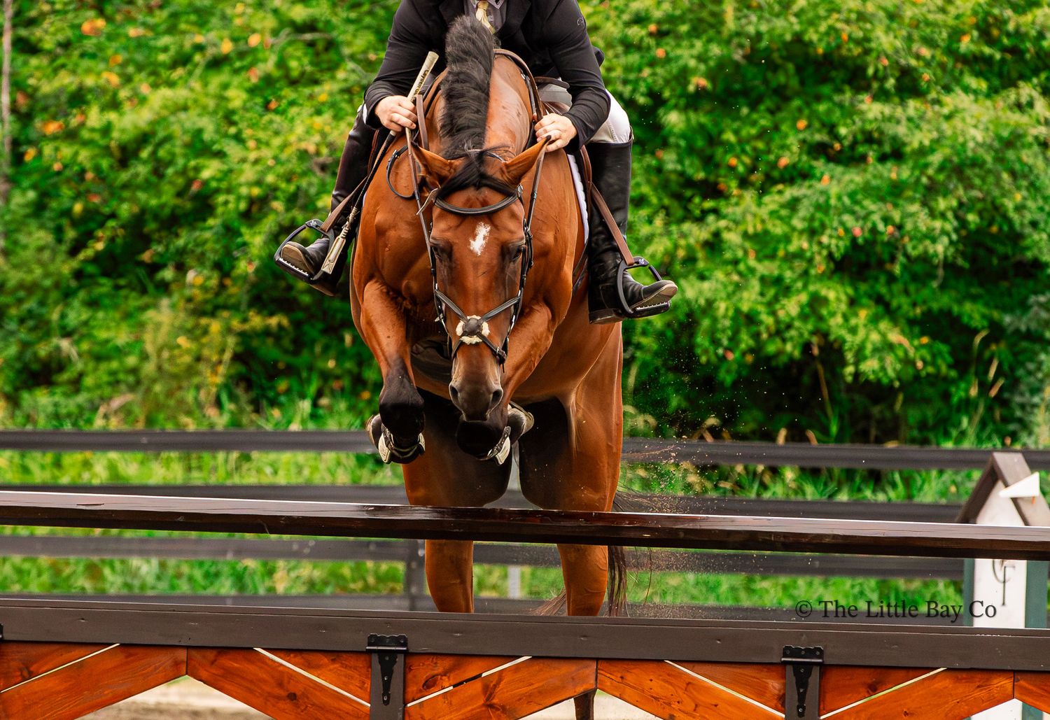 A bay horse and rider jumping over a wooden fence obstacle in an equestrian show jumping competition.