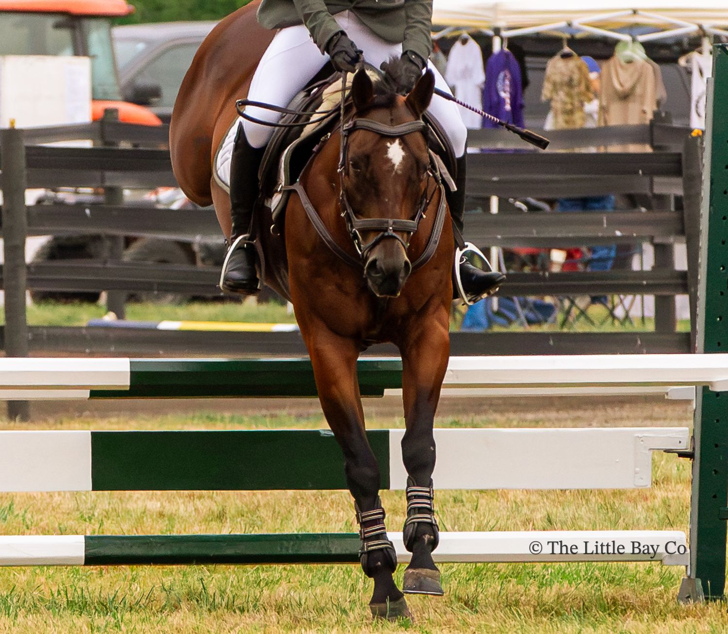 Bay horse and rider jumping over a green obstacle in an equestrian show jumping competition outdoors.