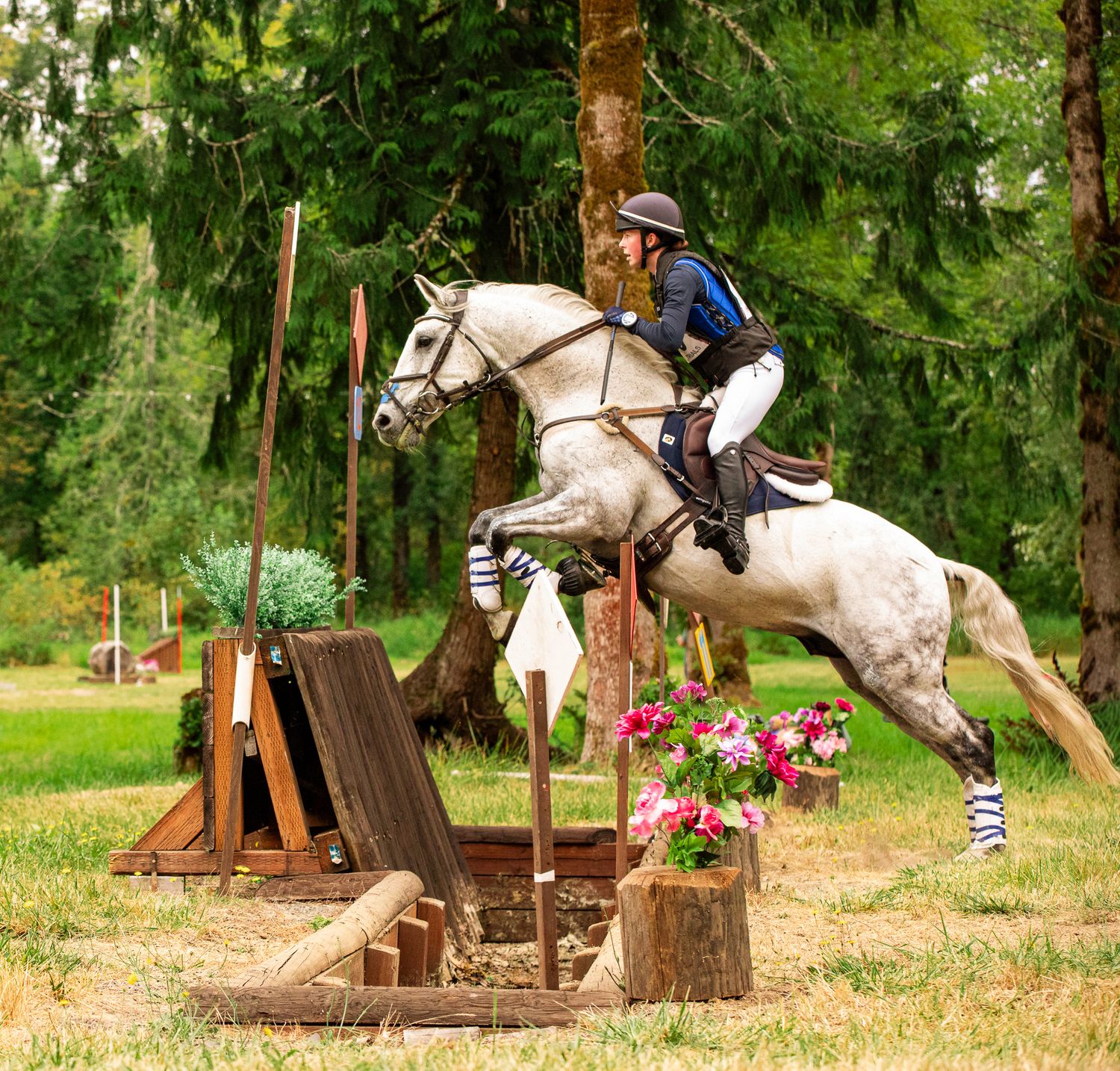A rider in blue vest jumps a gray horse over a wooden cross-country fence surrounded by pink flowers and trees.