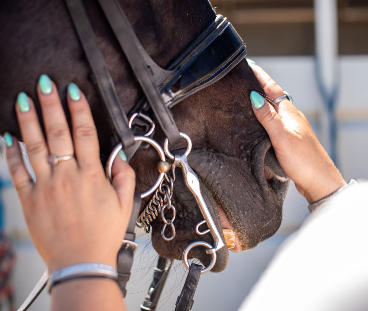 A rider pets their horse's nose while getting ready for a competition.