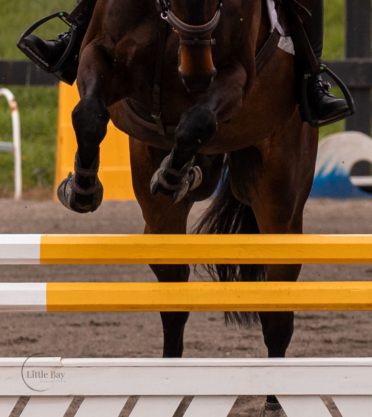 Bay horse jumping over yellow and white rails in an equestrian show jumping competition.