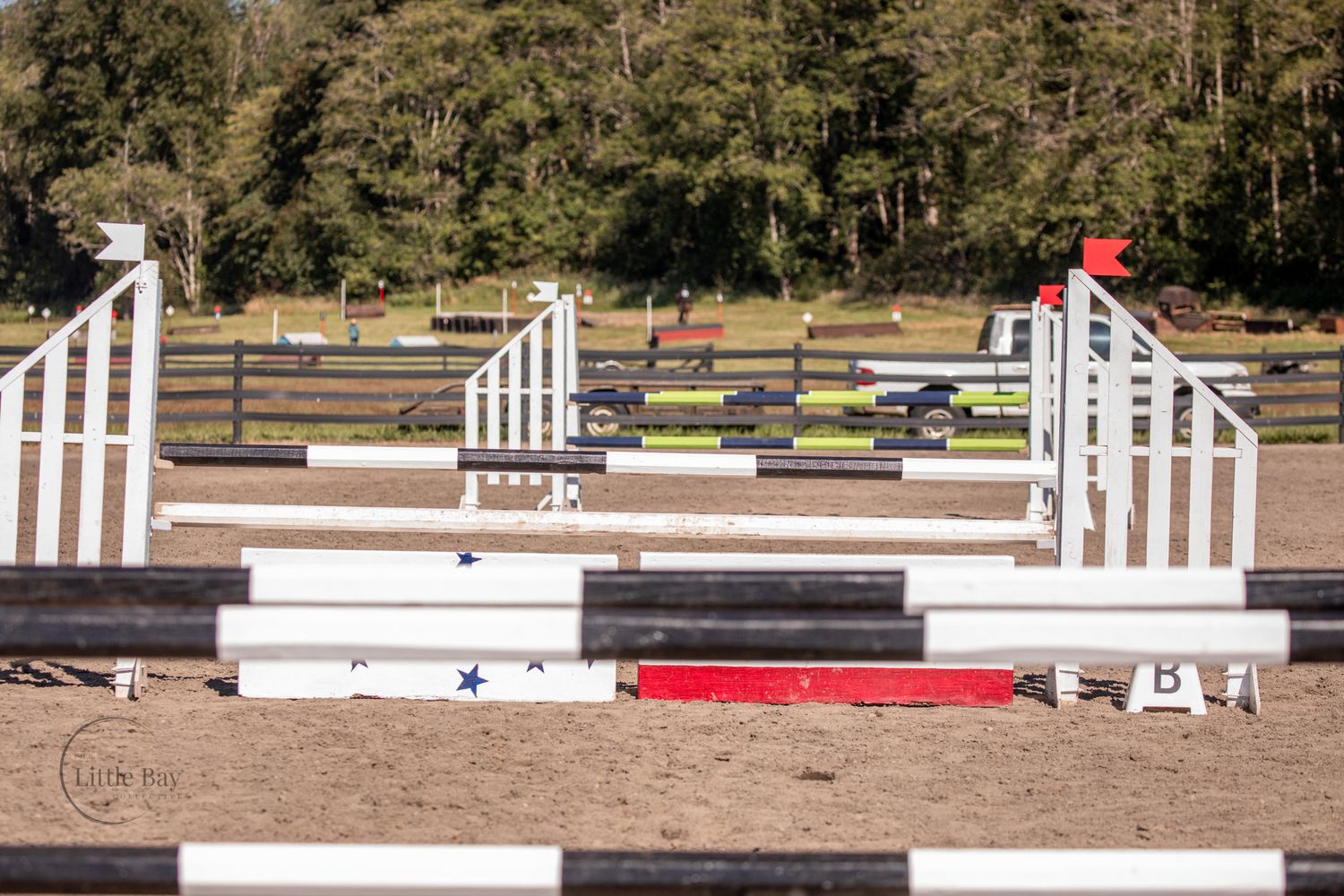 Colorful show jumping course with white fences, blue stars, and red rails set up in an outdoor equestrian arena.