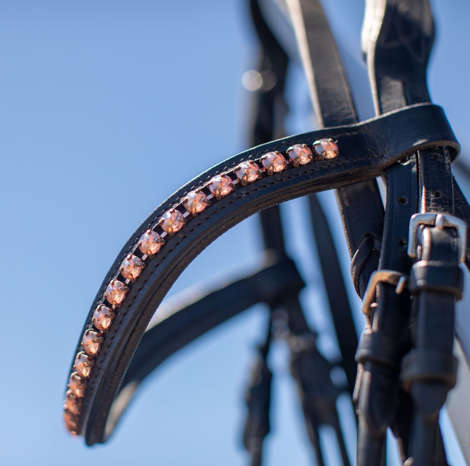 A bridle hangs on a hook with blue sky in the background.