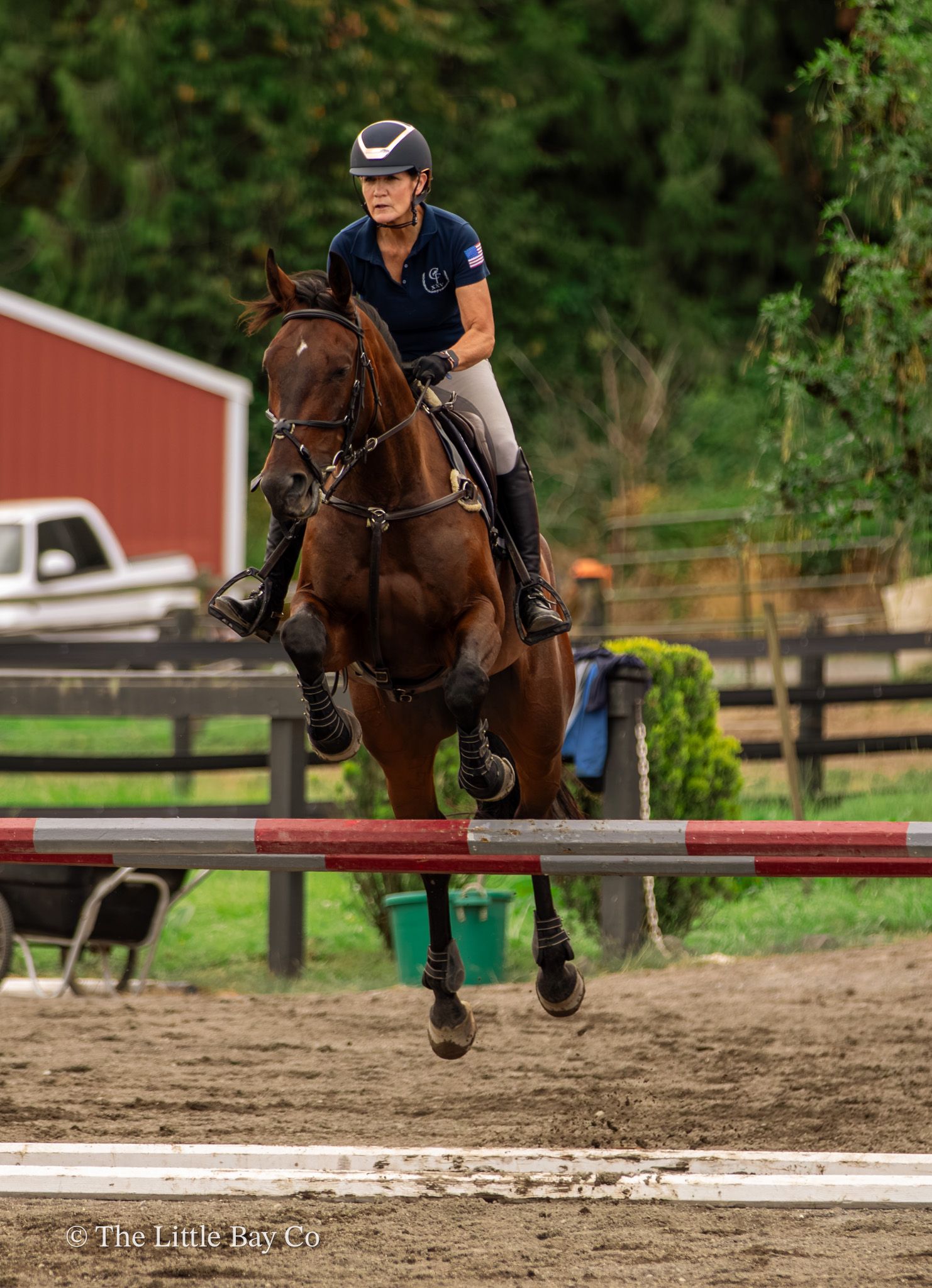 Equestrian rider jumping a red and white fence on a chestnut horse at an outdoor show jumping competition.