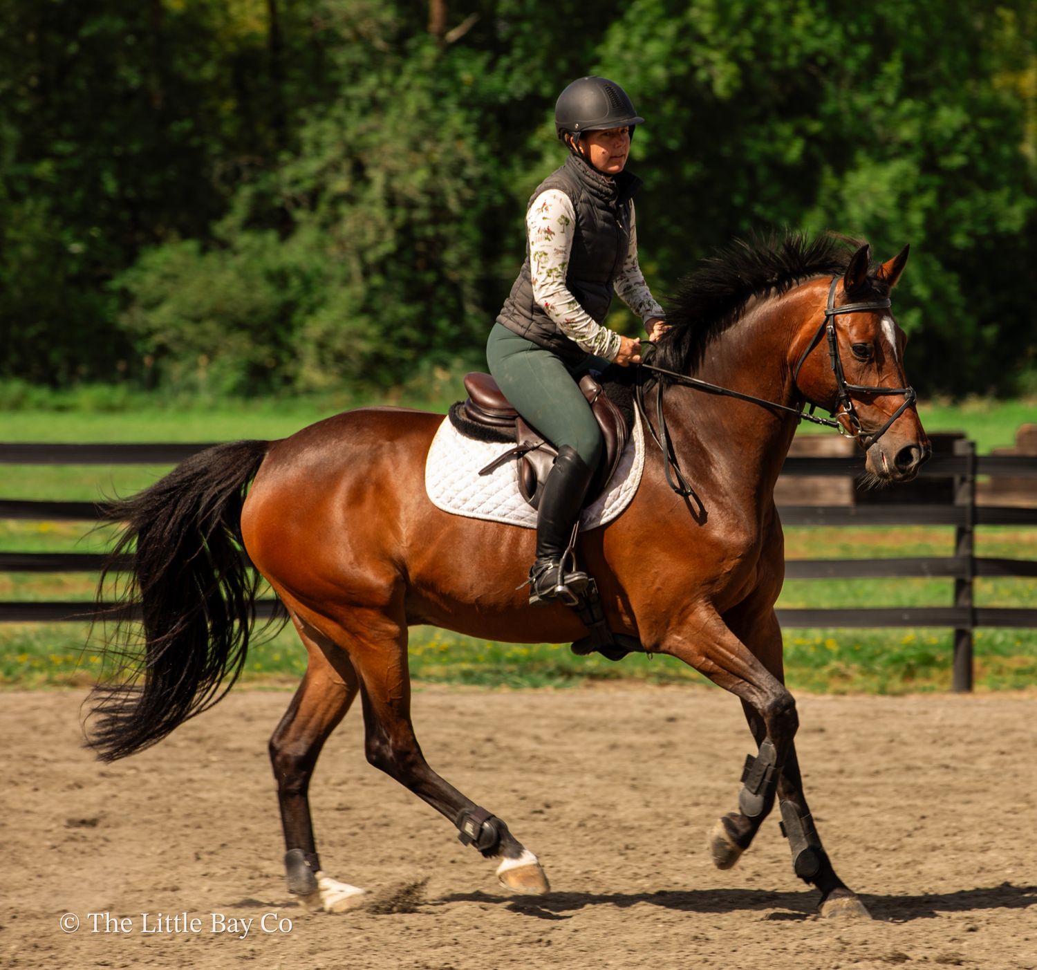 Rider in helmet and vest cantering a bay horse in an outdoor arena with green trees in the background.