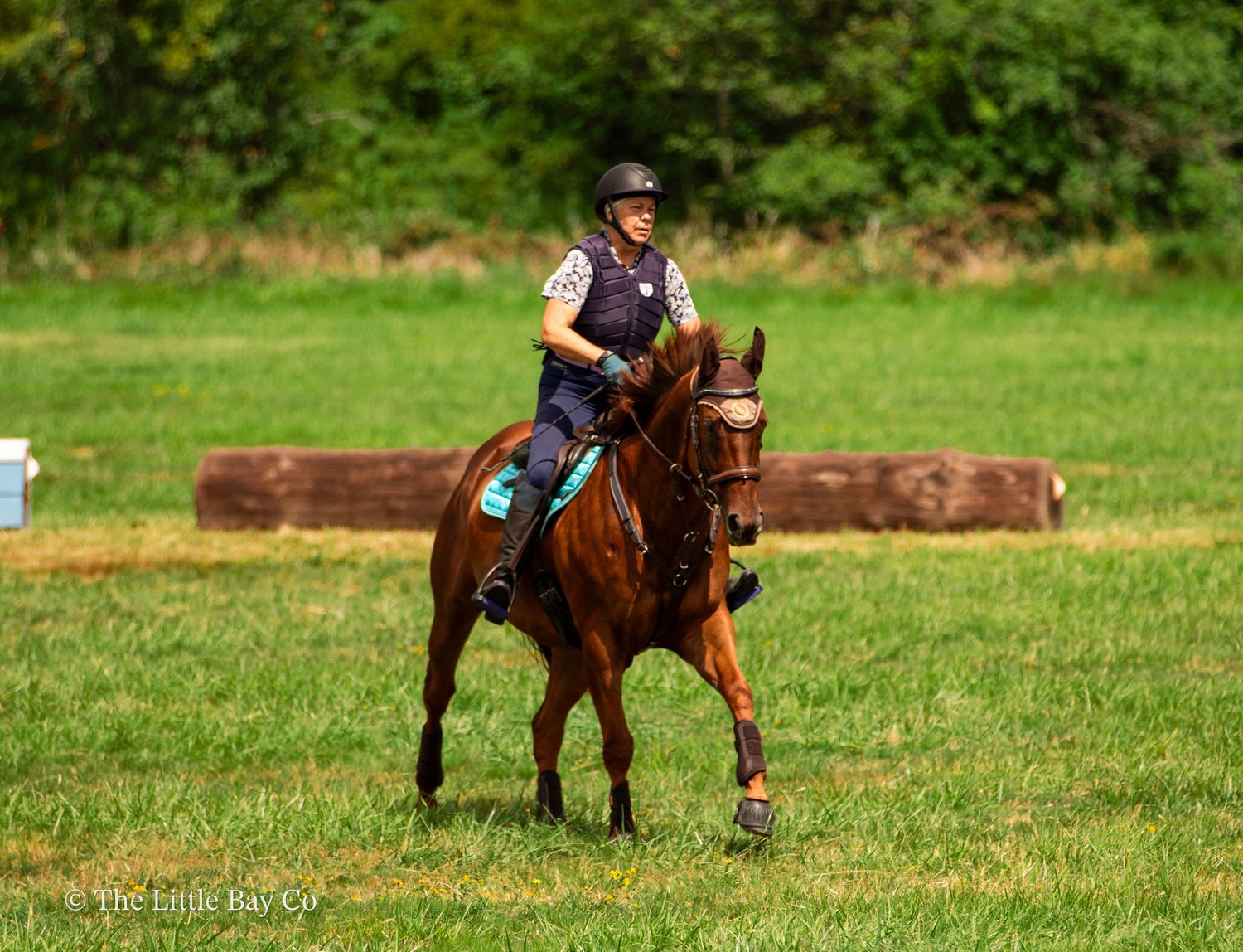 Equestrian rider in helmet and vest on chestnut horse during cross-country event on green grass course.