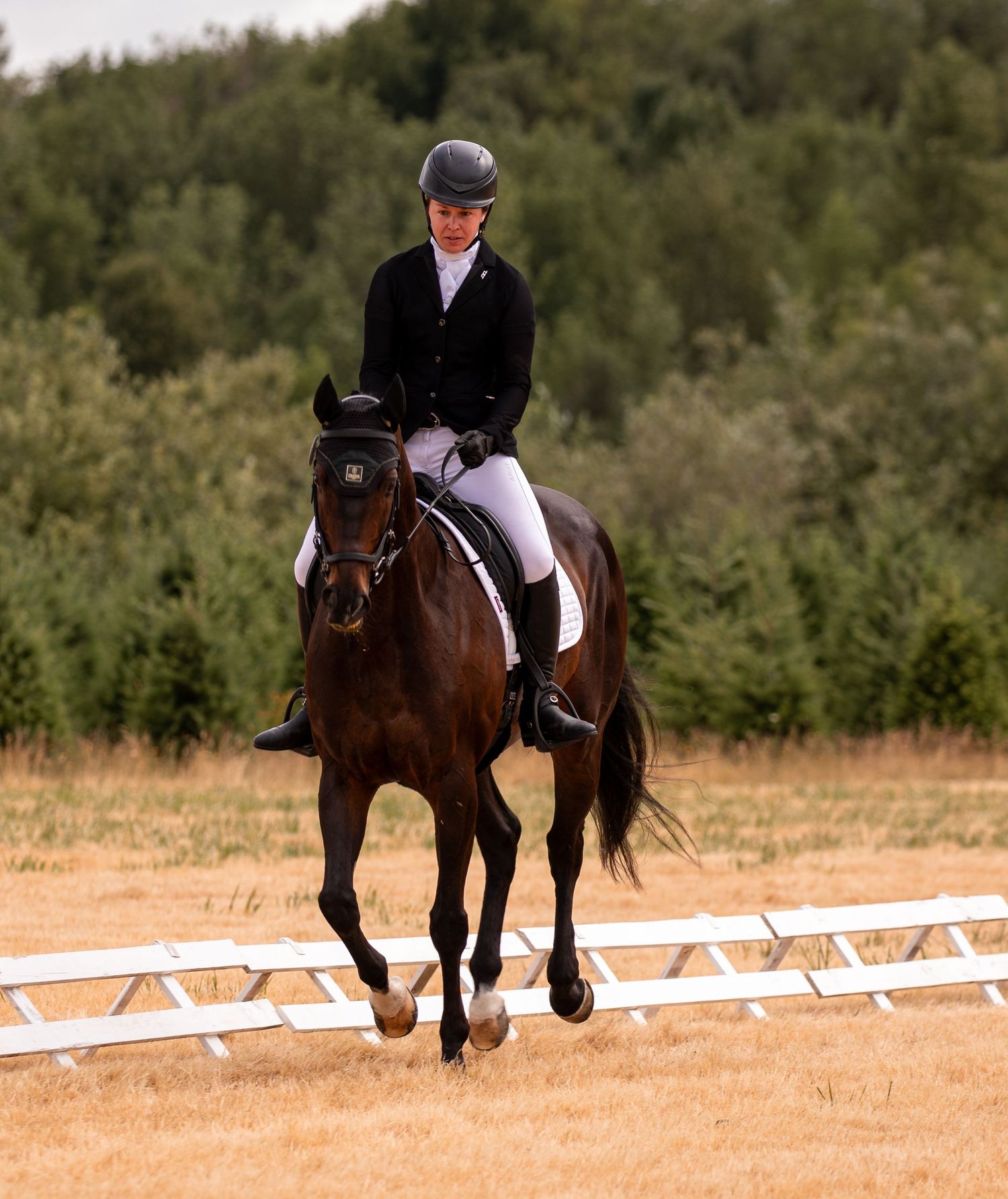 Female equestrian in black jacket riding a bay horse in a white-fenced dressage arena.