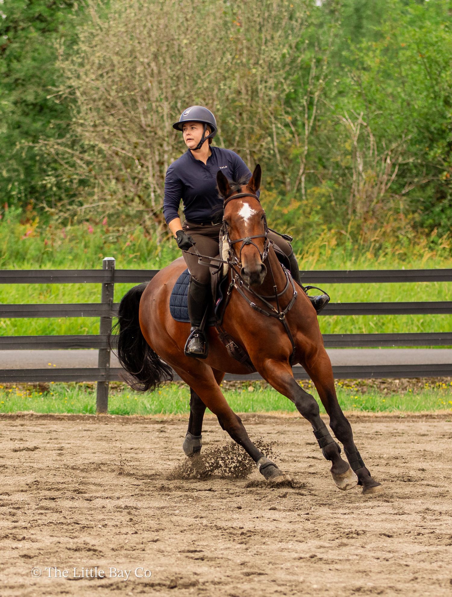 Equestrian rider in black helmet and navy top cantering a bay horse in a sandy outdoor arena.