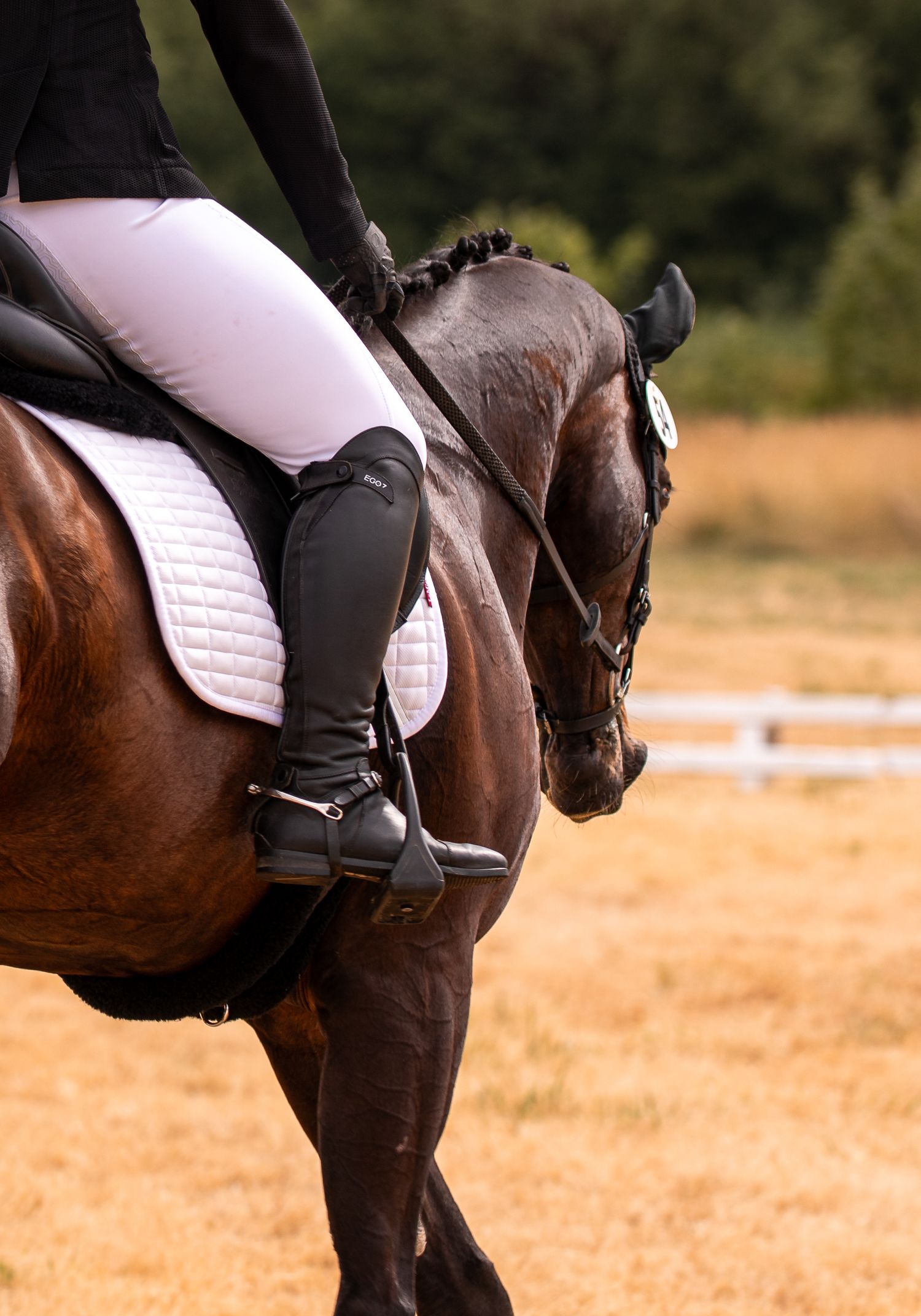 Close-up of a rider in white breeches and black boots seated on a bay dressage horse.