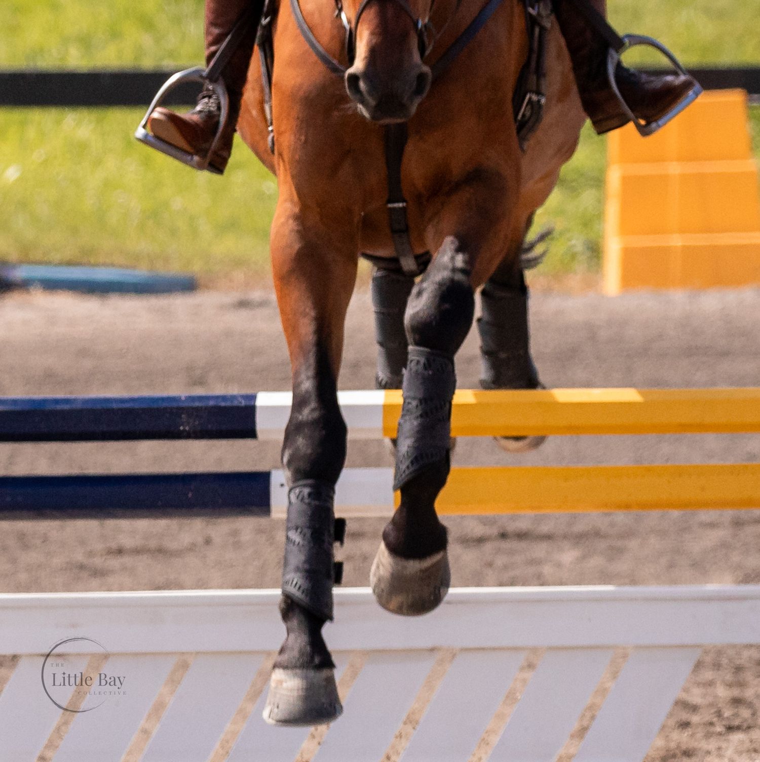 Bay horse clearing a yellow and white jump obstacle during an equestrian show jumping event.
