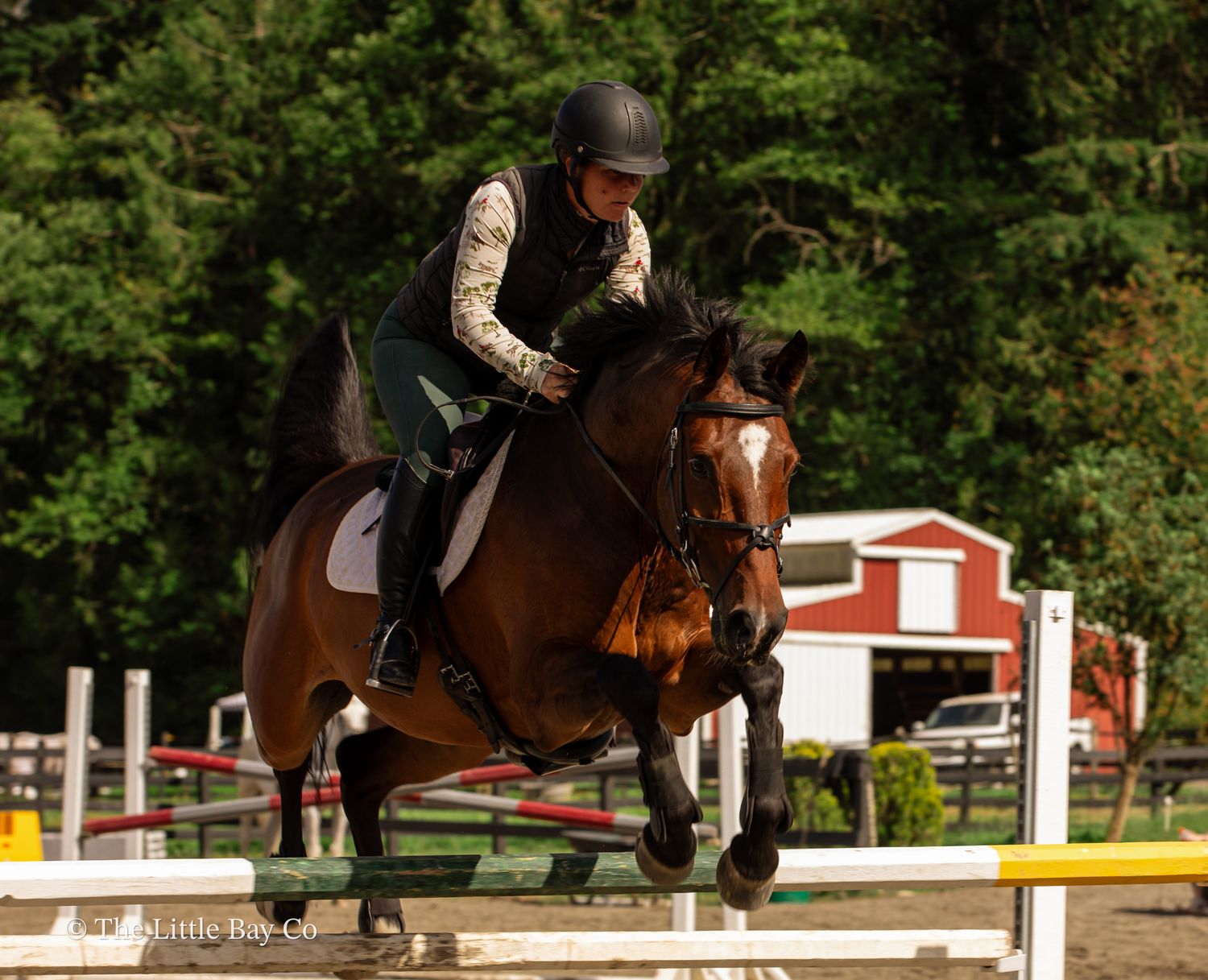 Equestrian rider in helmet jumping a bay horse over a rail fence at an outdoor show jumping competition.