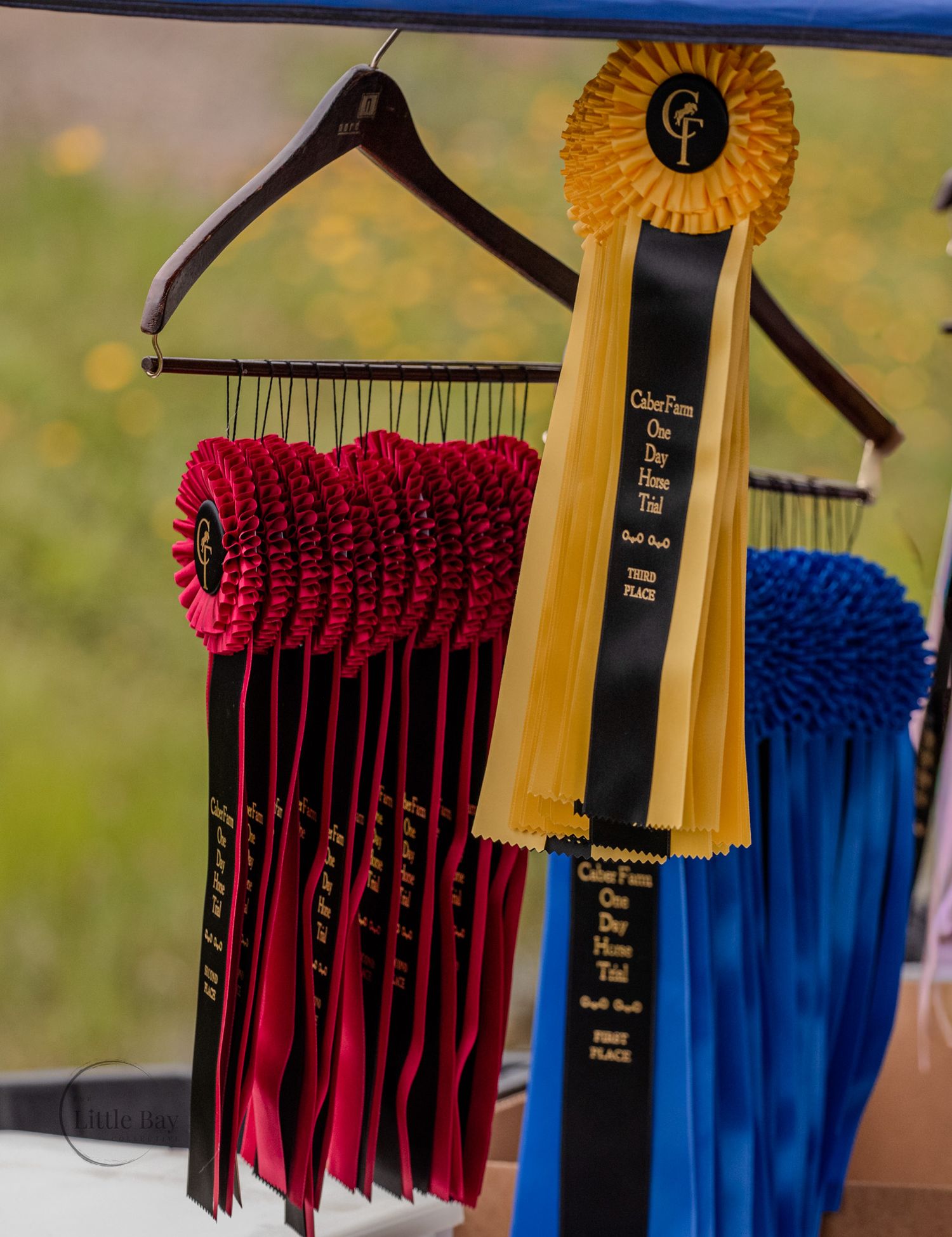 Red, gold, and blue equestrian show ribbons hanging on a rack at a horse show competition.