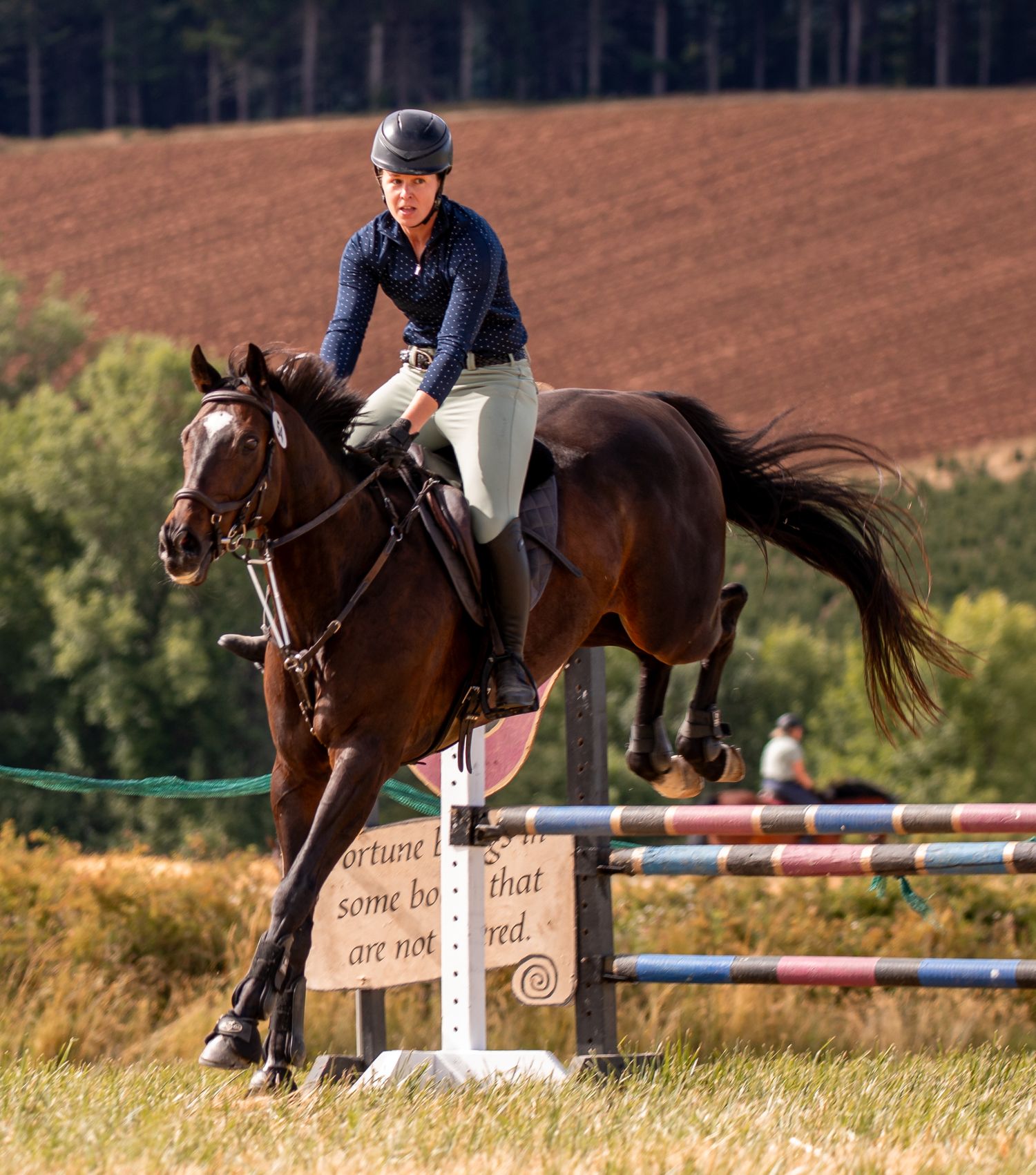 Equestrian rider in navy jacket jumping a dark bay horse over a colorful show jumping fence.