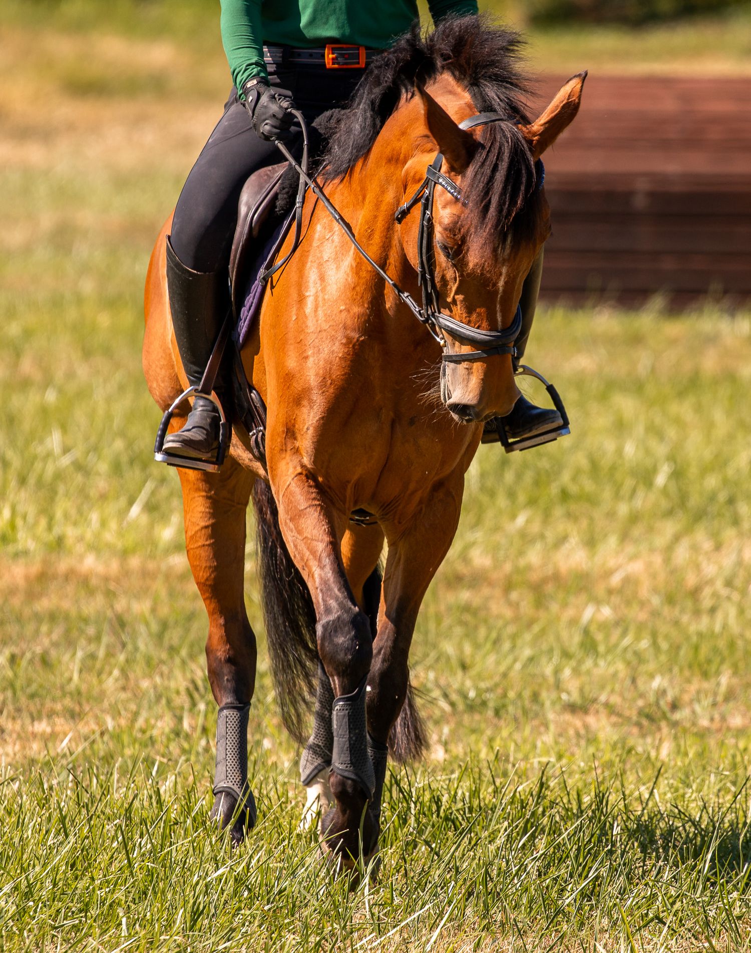 A bay horse with a rider in green and black equestrian attire trots across a lush green grass field.