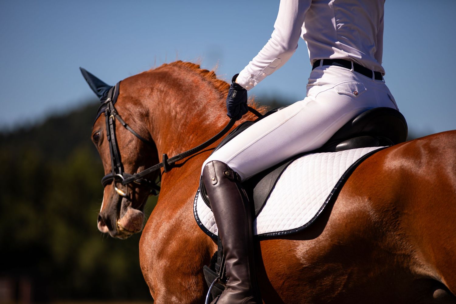 A rider and her chestnut horse compete in a show.