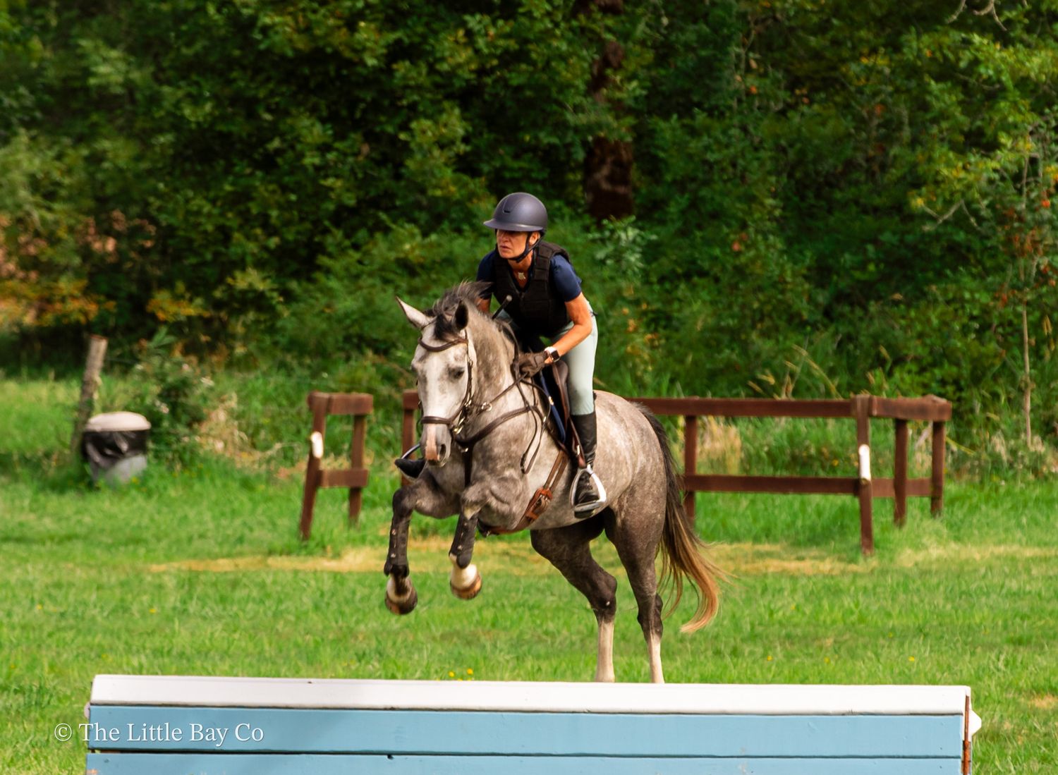 Equestrian rider on gray horse jumping over blue obstacle in green outdoor arena.