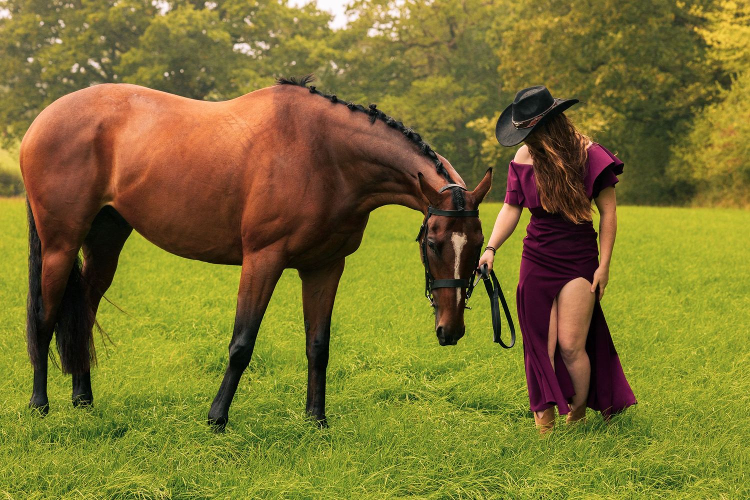 A majestic brown horse stands in a green field with someone in a flowing burgundy dress and black hat.