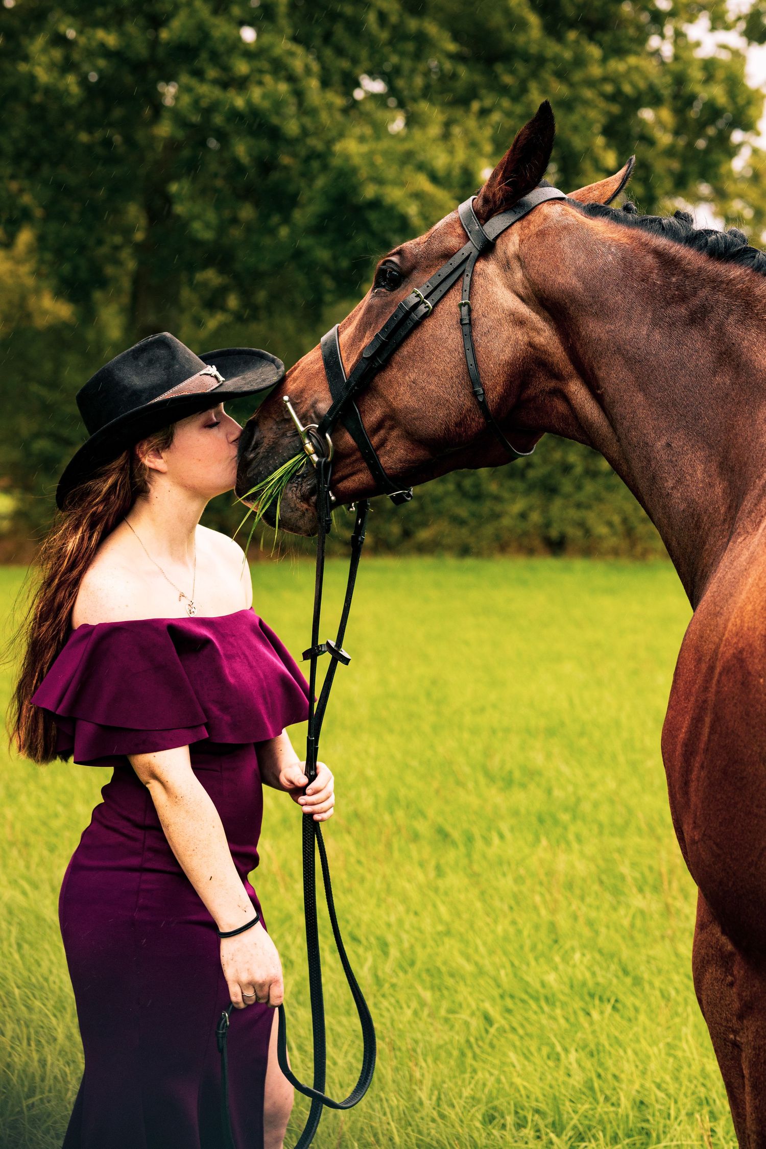 A woman in a purple dress shares a tender moment with her brown horse in a sunny green field.
