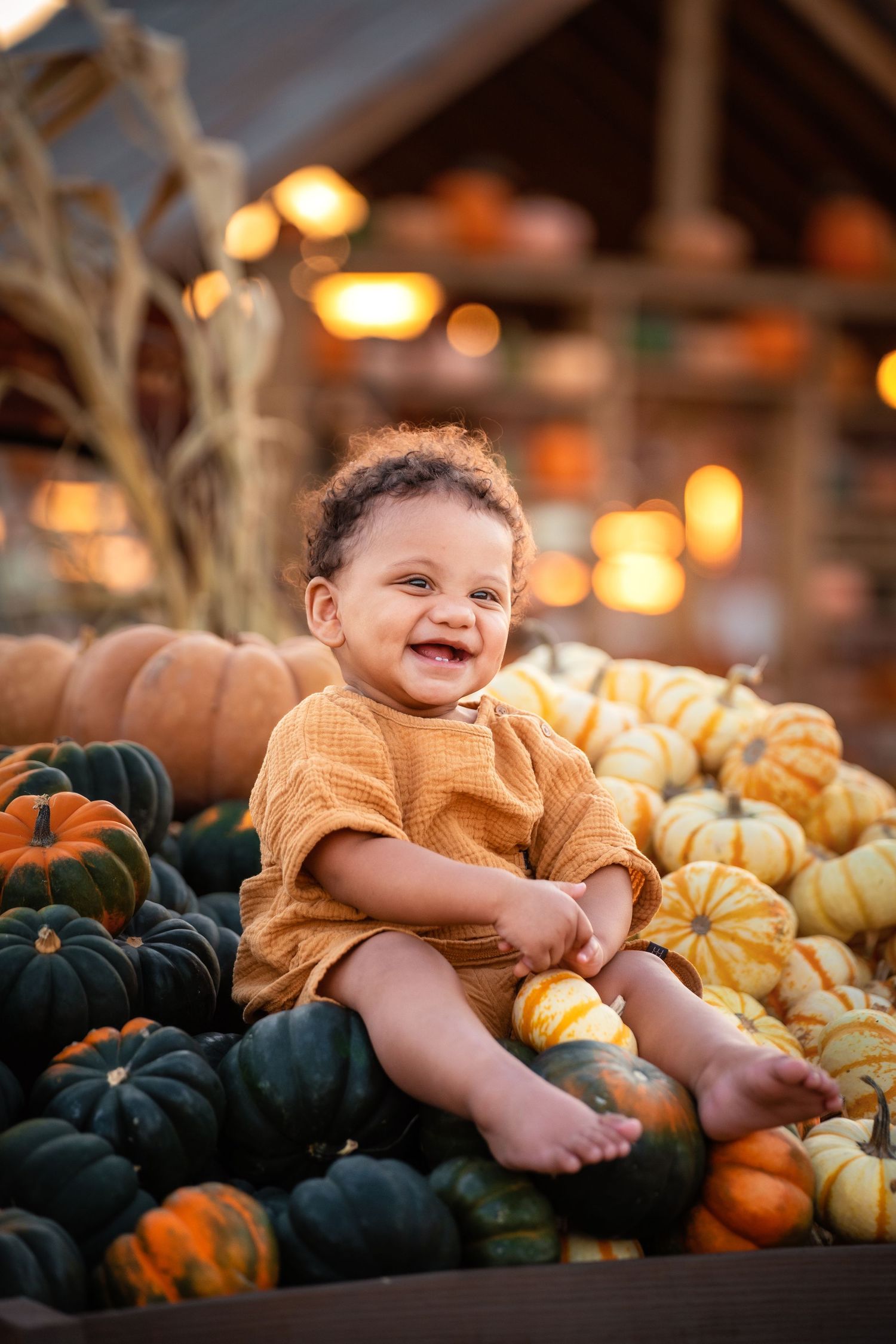 A small baby in an orange sweater sits among autumn gourds and pumpkins during a festive fall photoshoot.