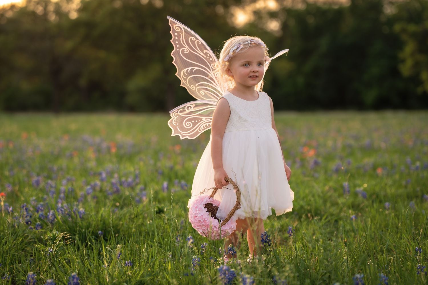 A child in fairy wings plays in a field of vibrant purple wildflowers during golden hour.