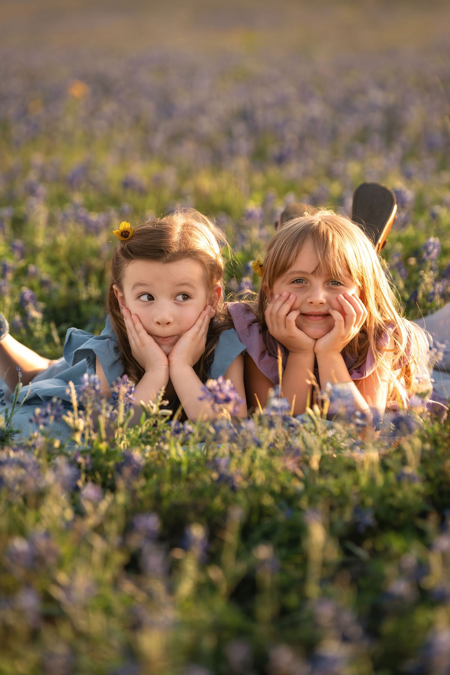 Children peek through wildflowers while lying in a meadow during golden hour, creating a playful sequence of expressions.