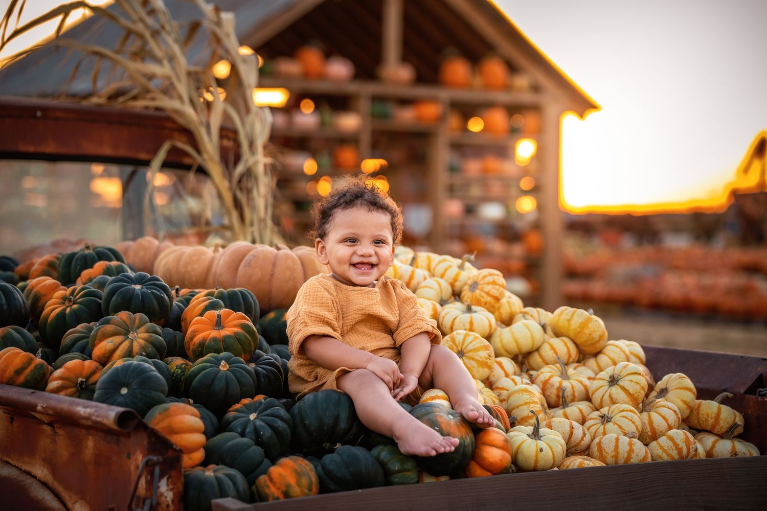 A happy toddler sits smiling among colorful pumpkins and gourds at a fall harvest pumpkin patch at sunset.
