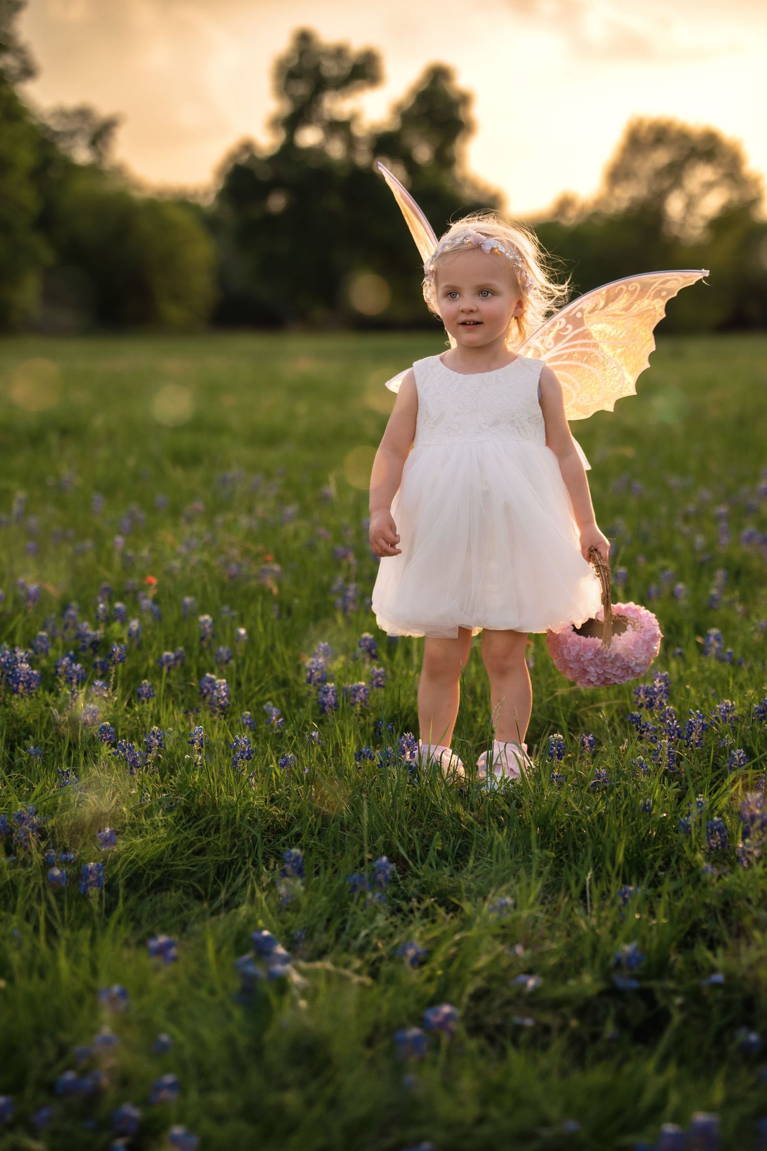 A child in a white dress explores a field of vibrant purple bluebonnets during golden hour.