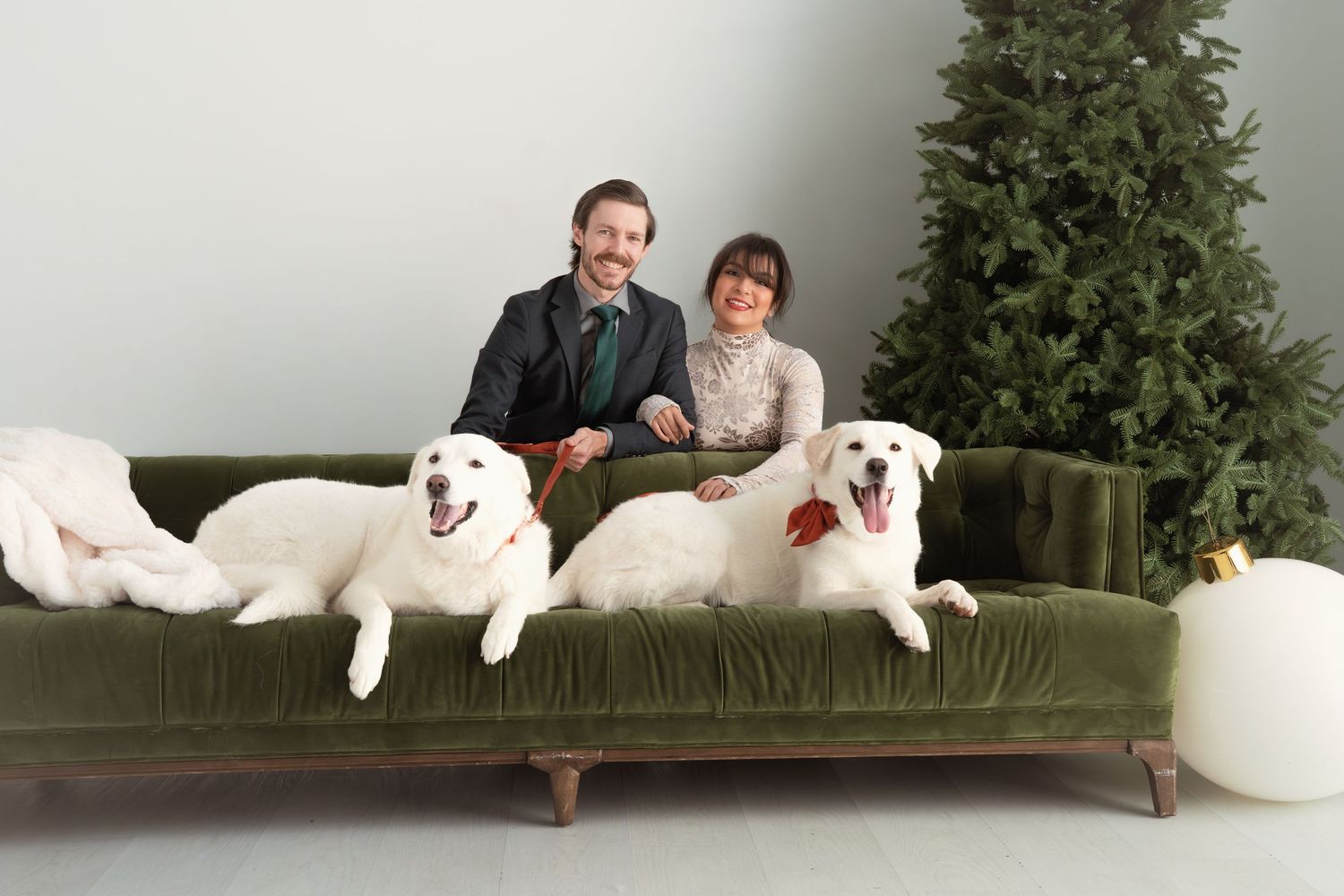 Couple posing with two large white dogs on a green velvet sofa near a Christmas tree for a holiday portrait.