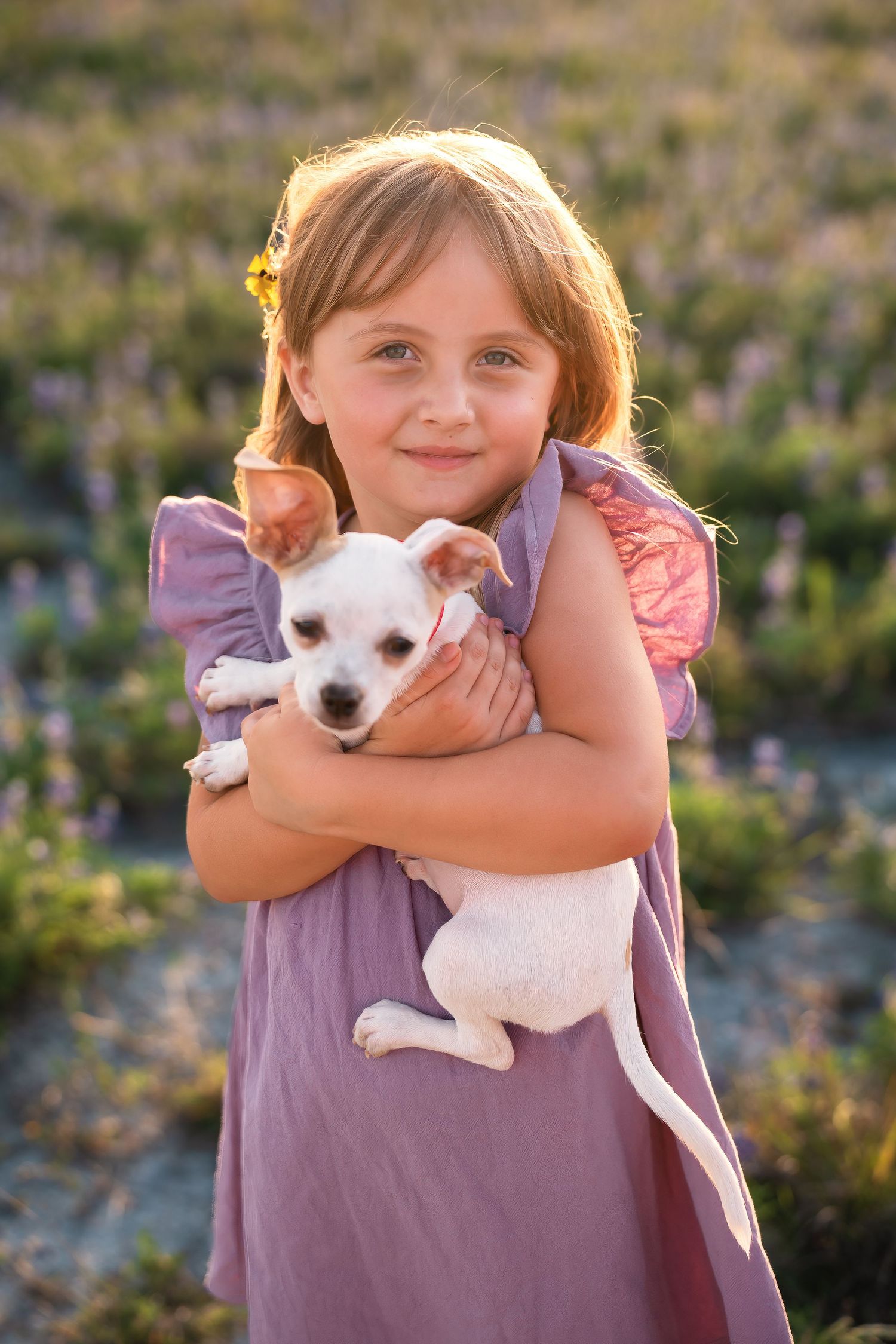 A small white puppy is lovingly embraced outdoors against a purple shirt in warm sunlight.