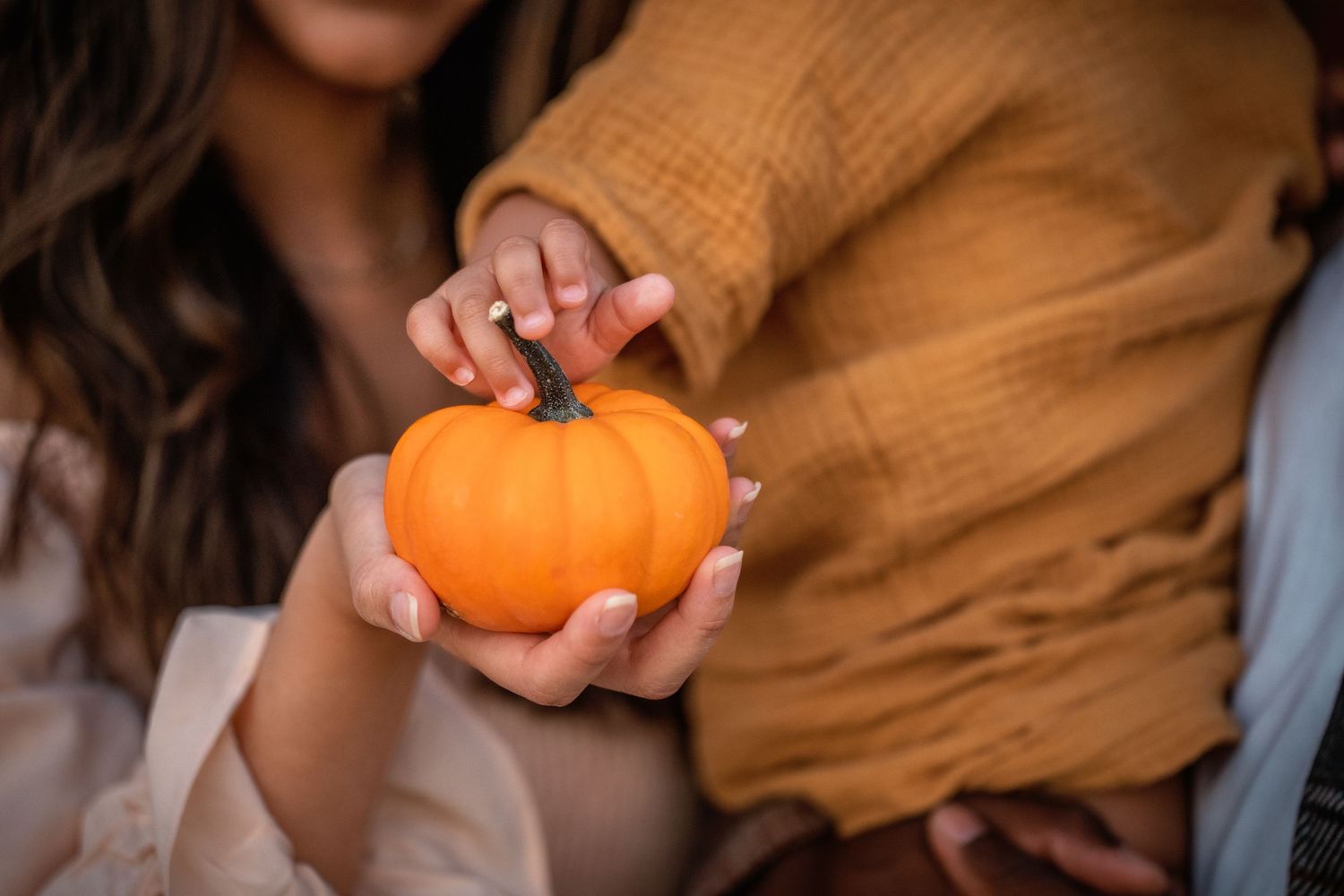 A small pumpkin sits in hands against an autumn background.