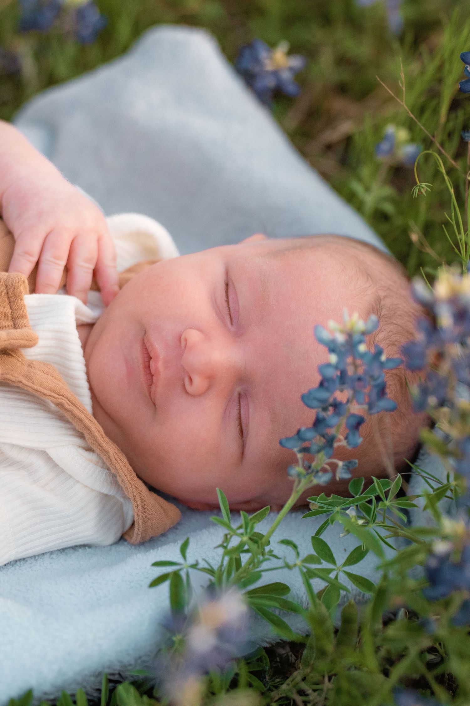 Peaceful sleeping baby lying on blue blanket surrounded by delicate bluebonnets in spring meadow.