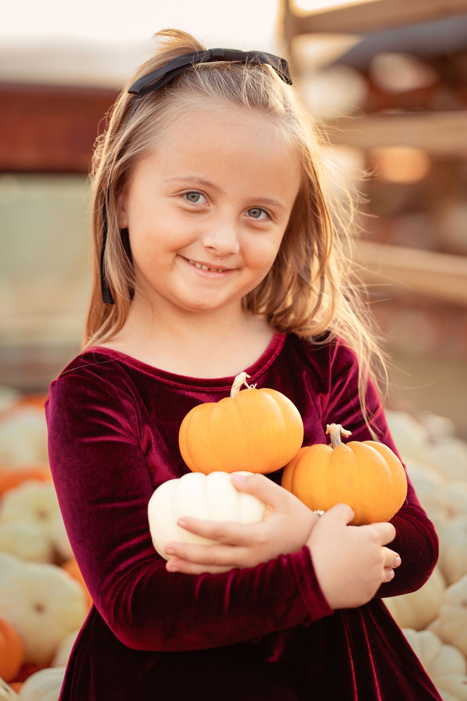 A smiling young girl in a burgundy velvet dress holds mini pumpkins at a fall pumpkin patch.